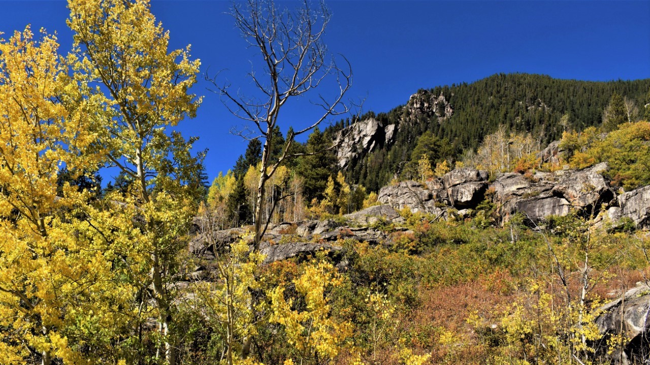 Colorado's Independence Pass