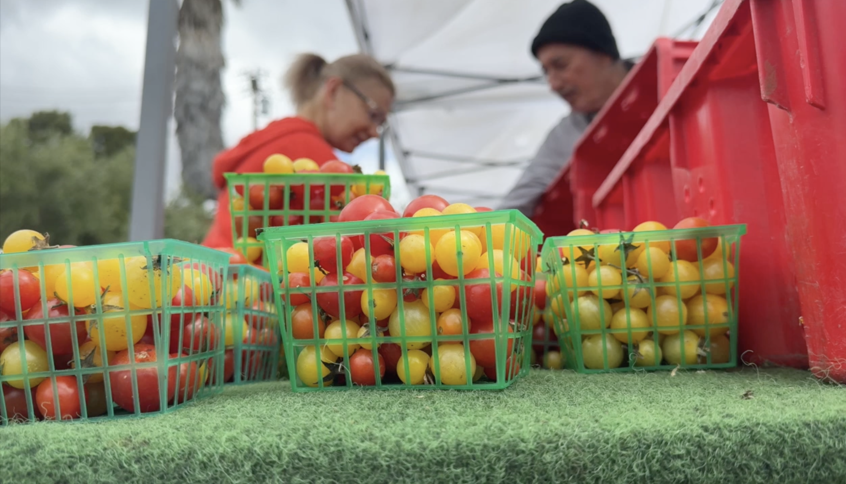 Rising cost of groceries has some San Diegans turning to farmers markets