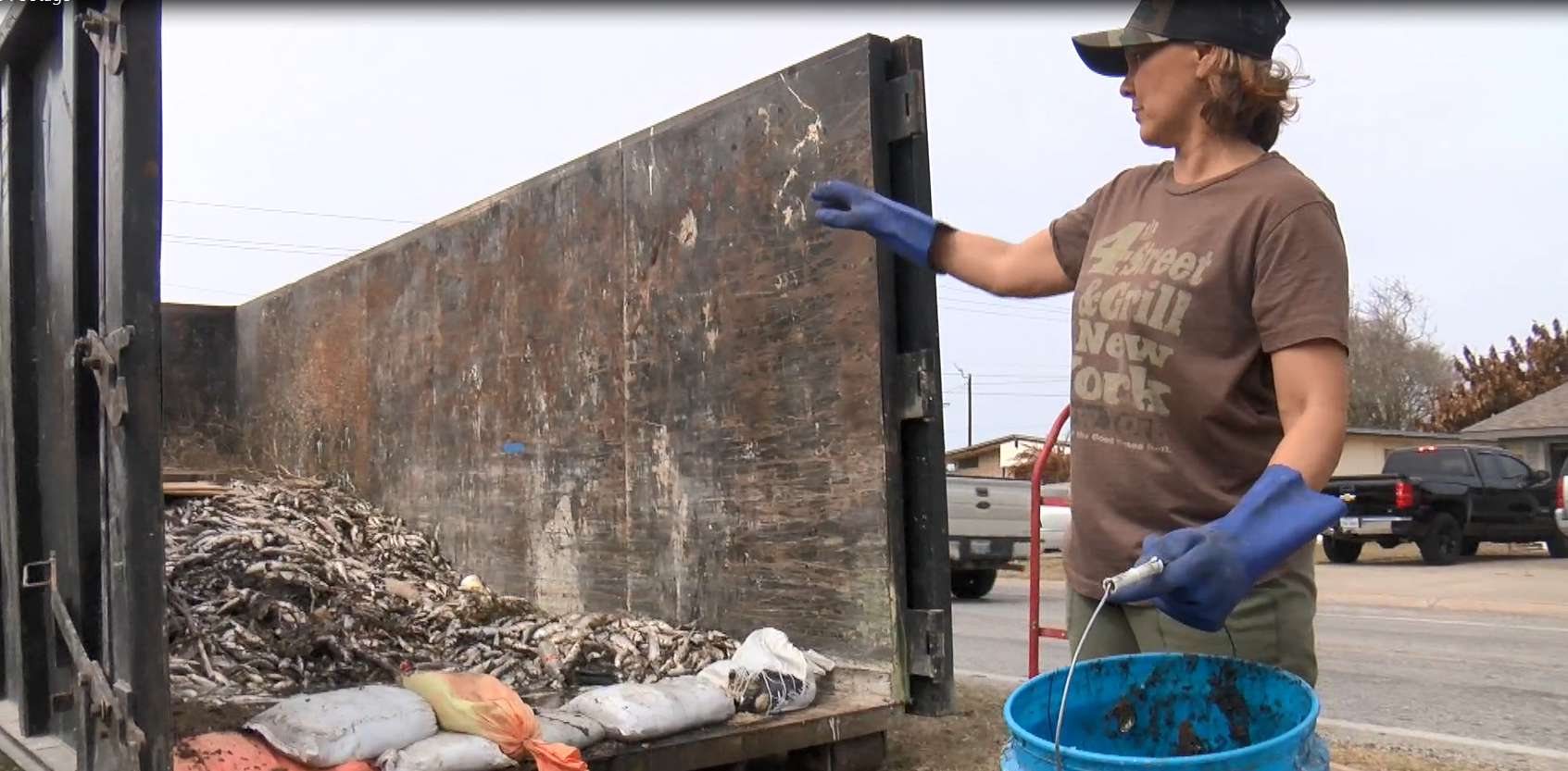 TPWD: sea trout still recovering from last year's freeze - Vimarsana News