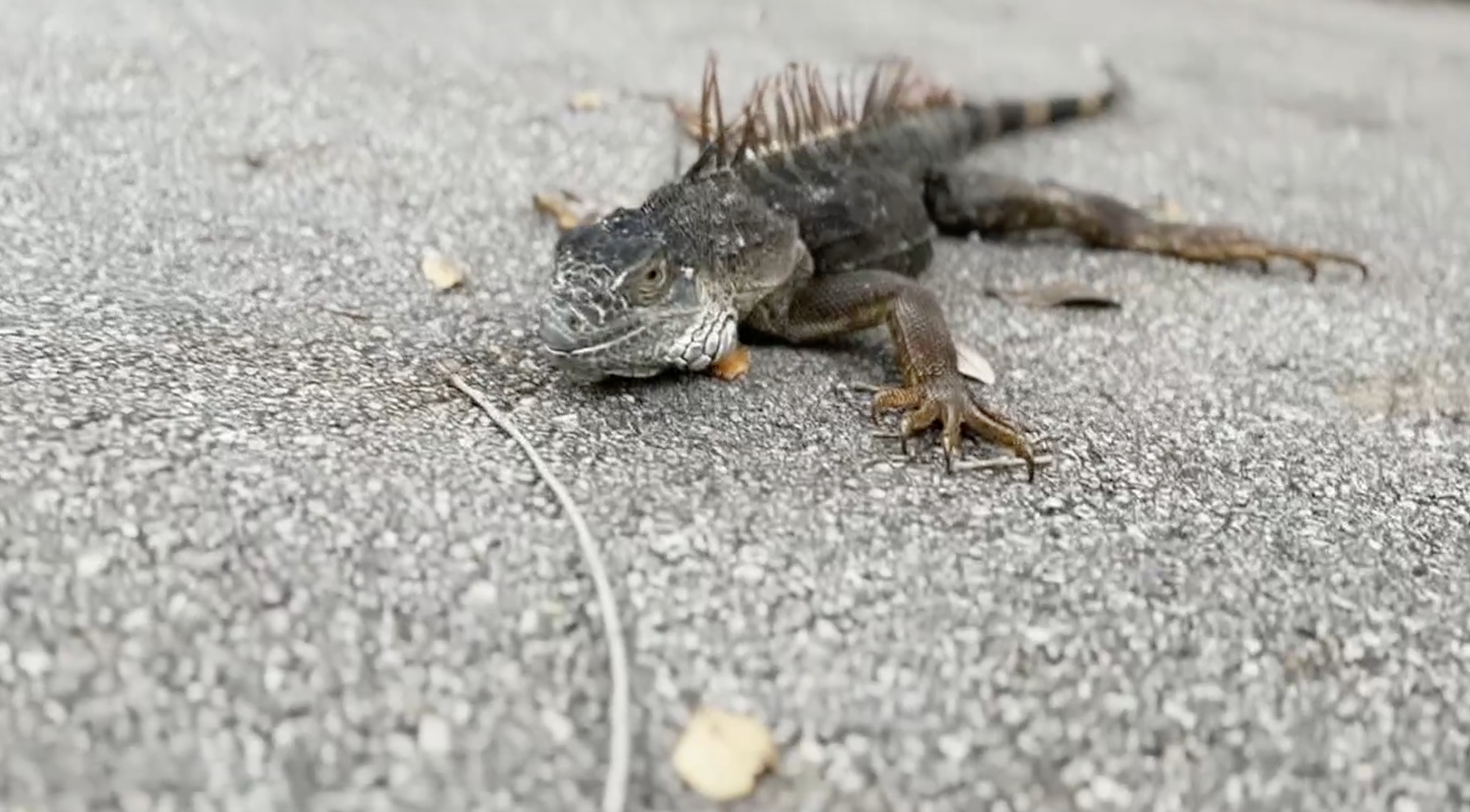 Screenshot 2025-11-10 114444.png