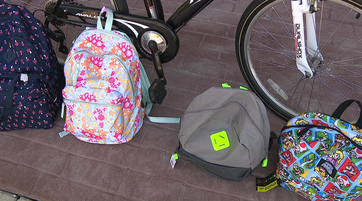 Backpack generic WFTS.PNG