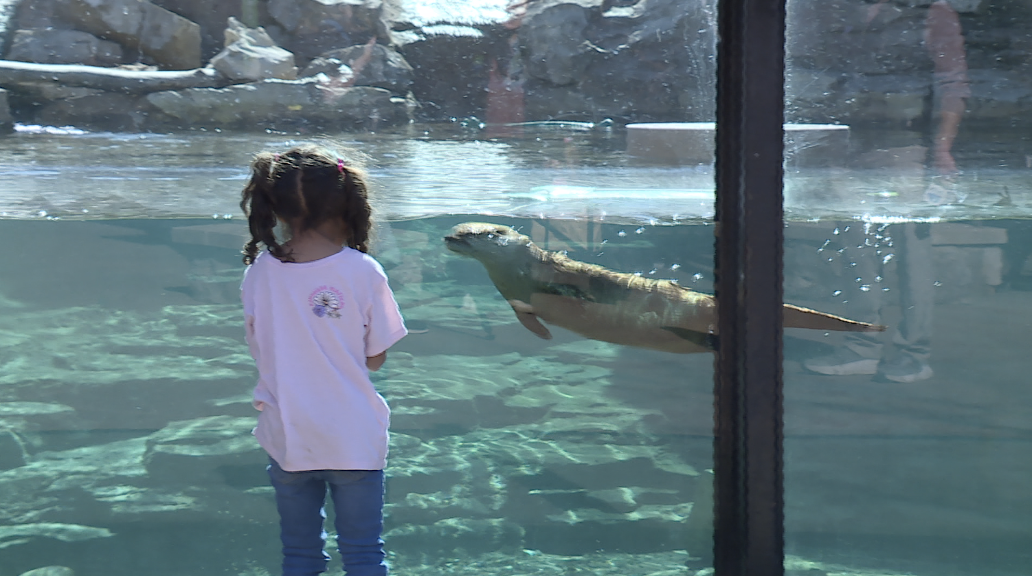 Kansas City Zoo and Aquarium