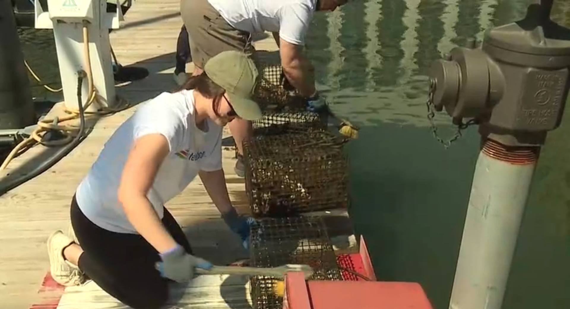 Volunteers spend Earth Month cleaning up the Baltimore Harbor waters