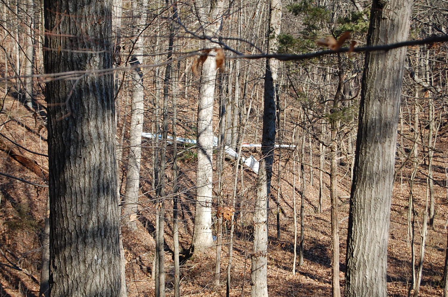 Warren County Plane Crash.jpg