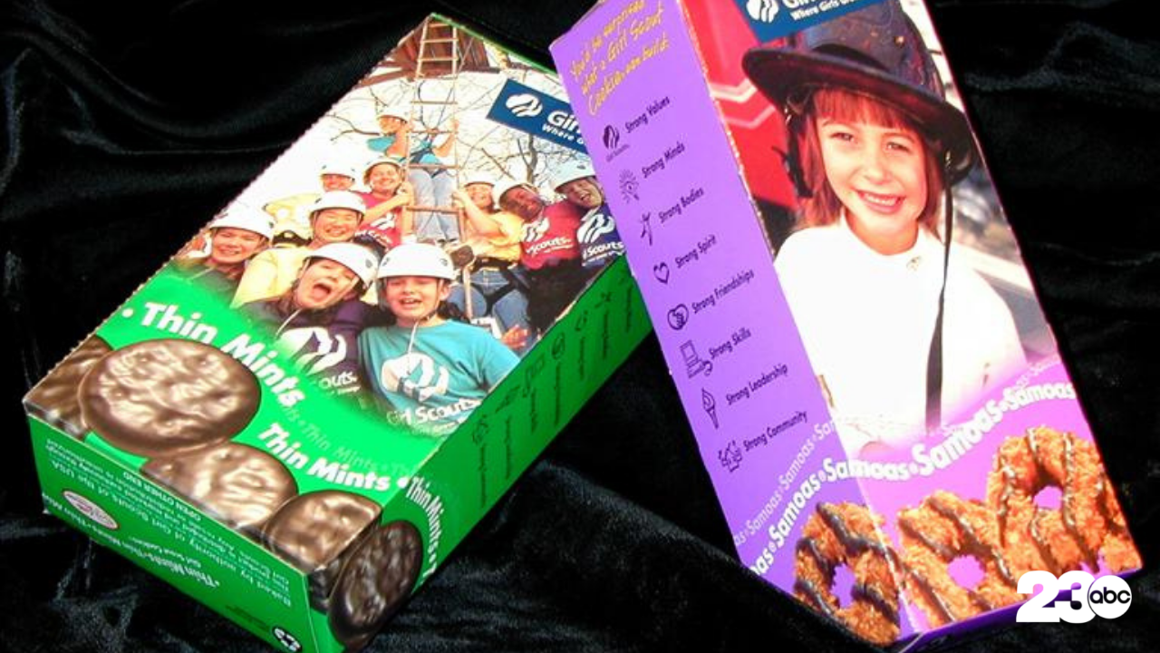 Boxes of Girl Scouts cookies: Thin Mints and Samoas