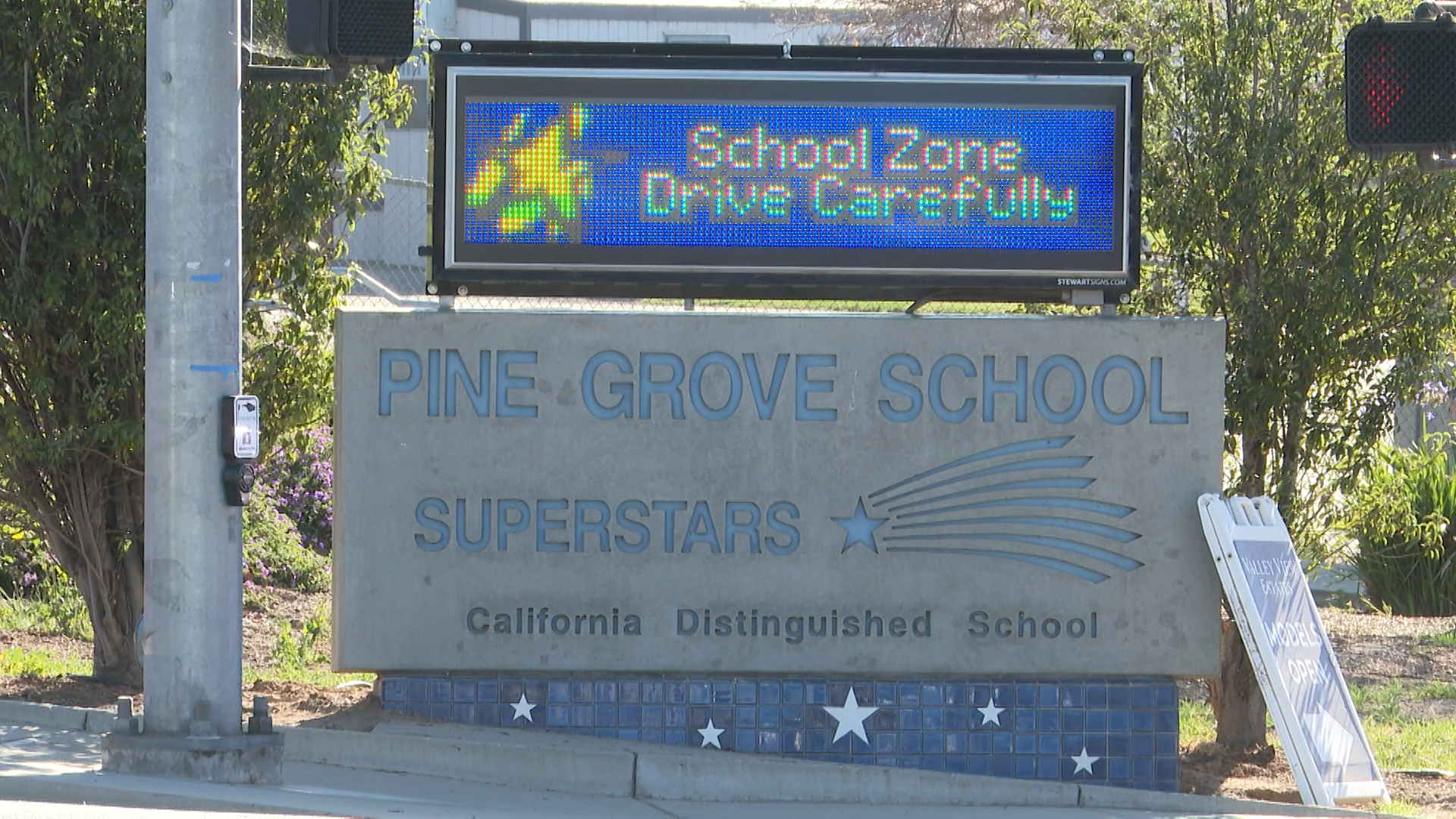 pine.jpg