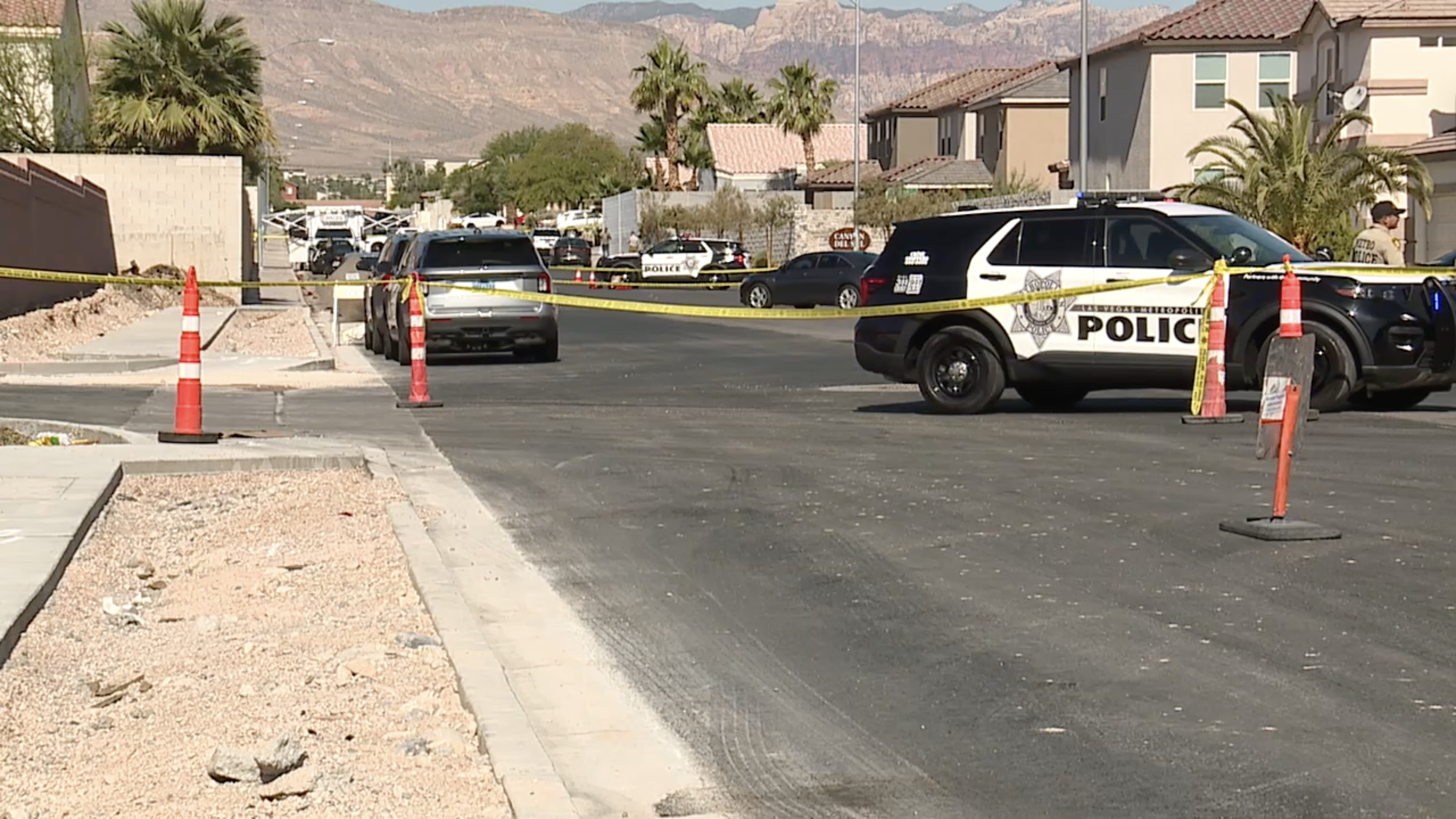 Rochelle Avenue shooting