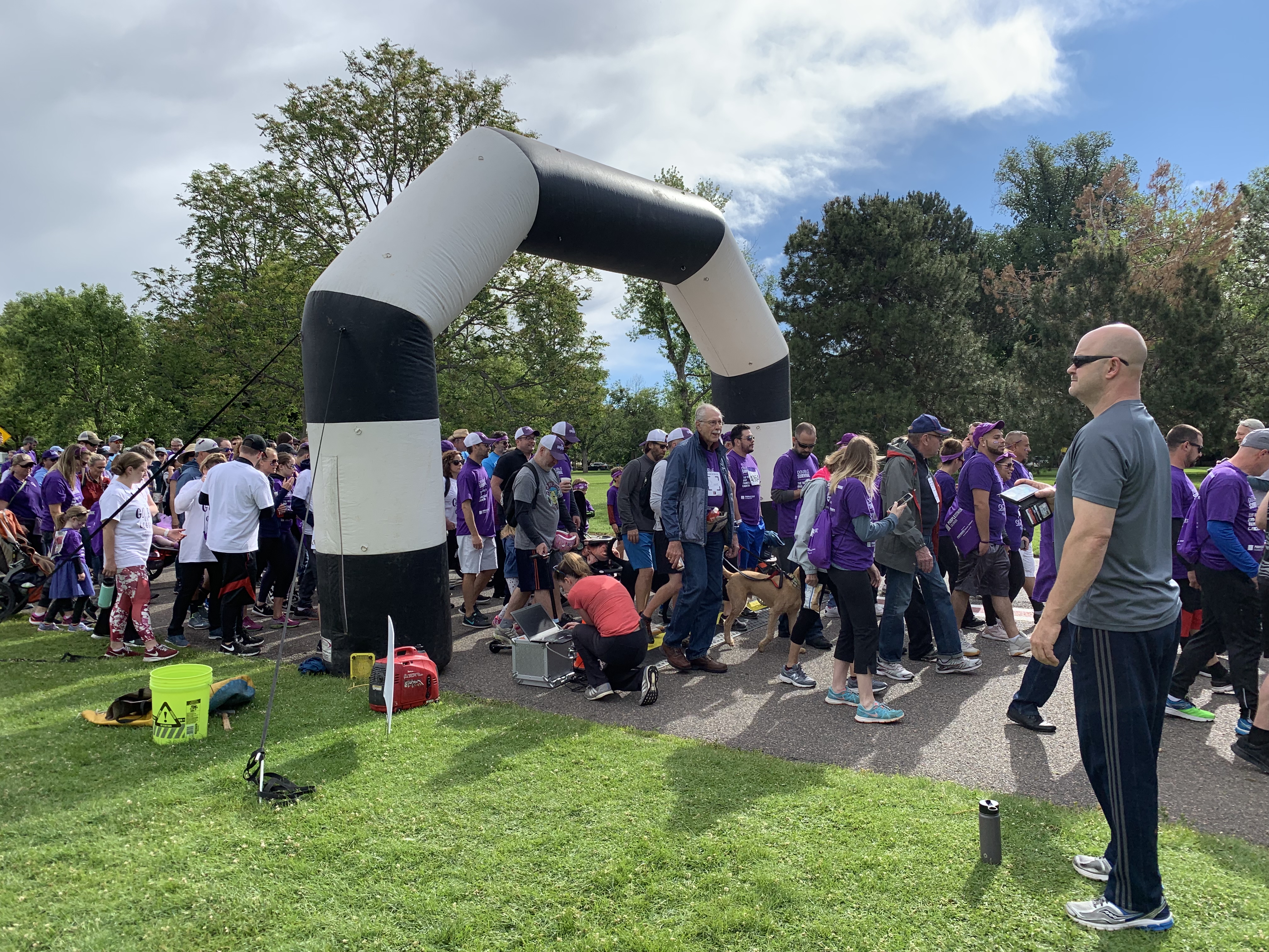 purplestride.jpg