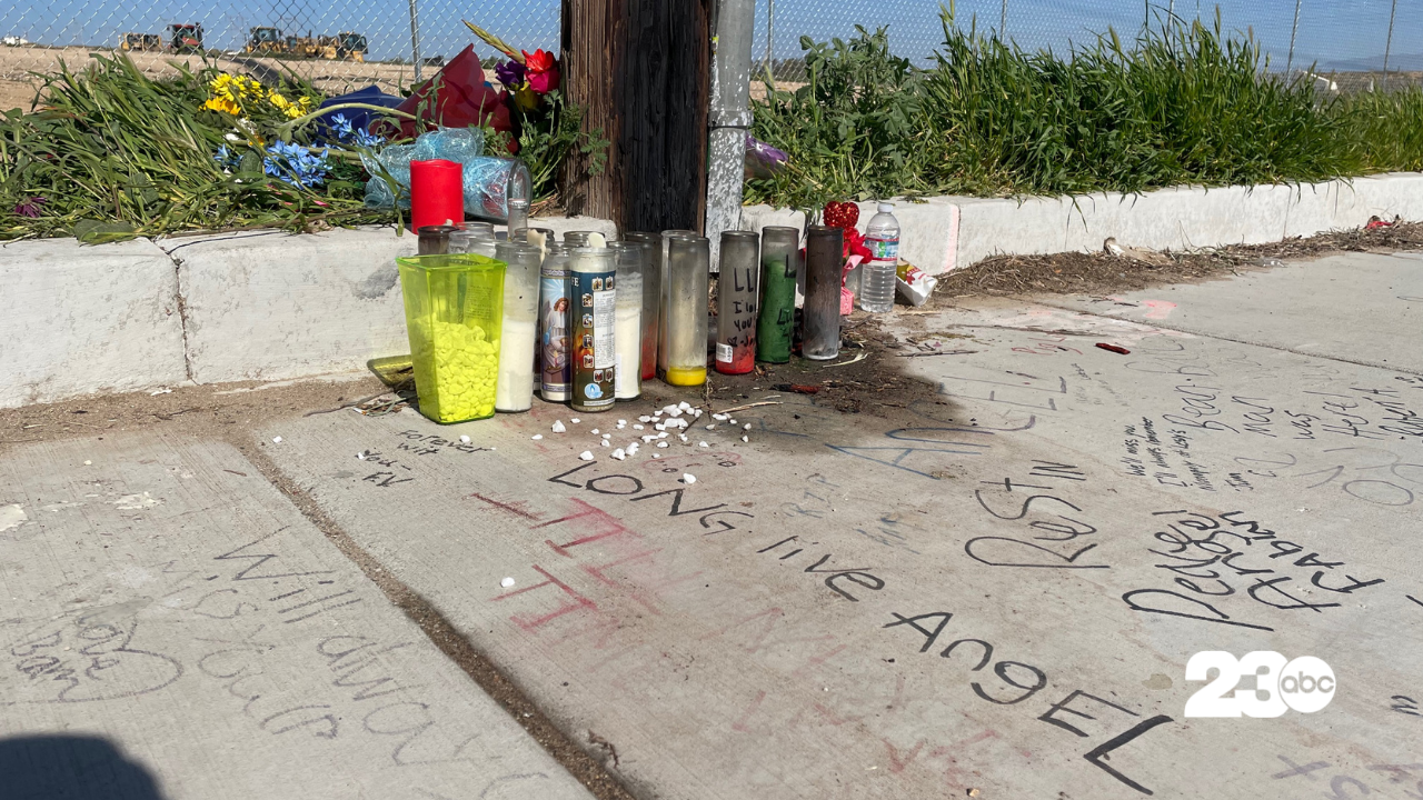 CHP seeks help identifying driver in deadly hit-and-run