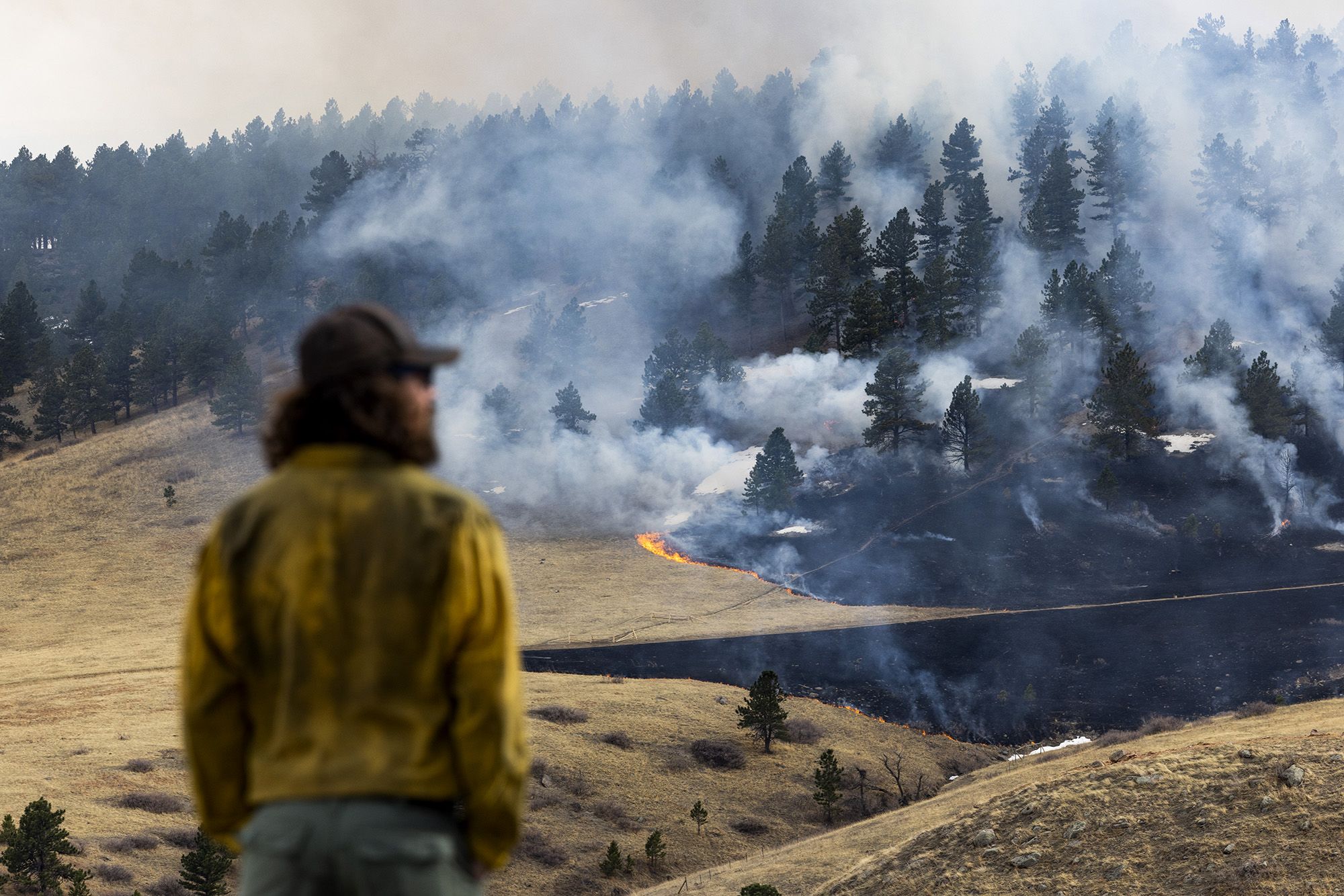 Grass Fire