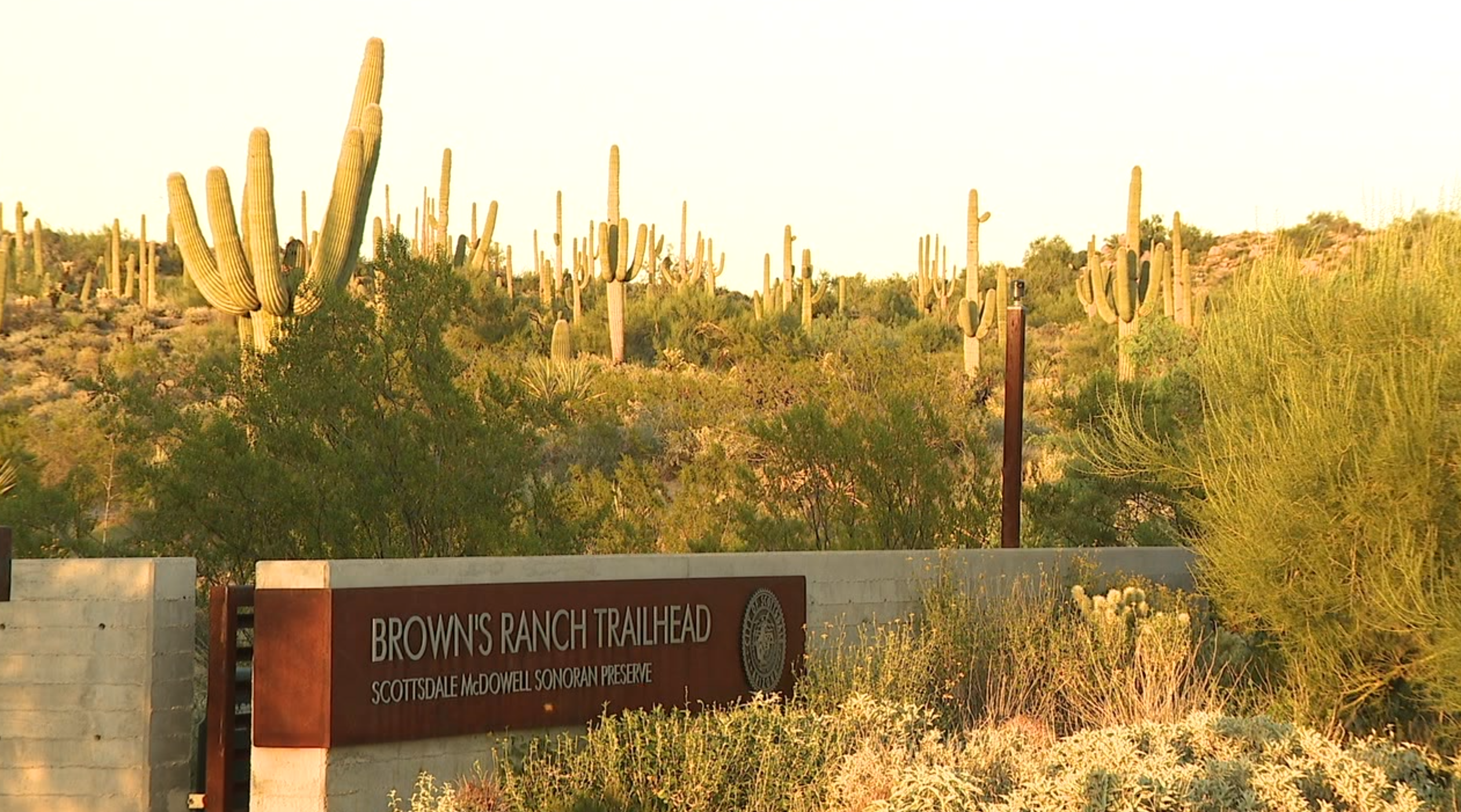 Brown's Ranch trailhead scottsdale 