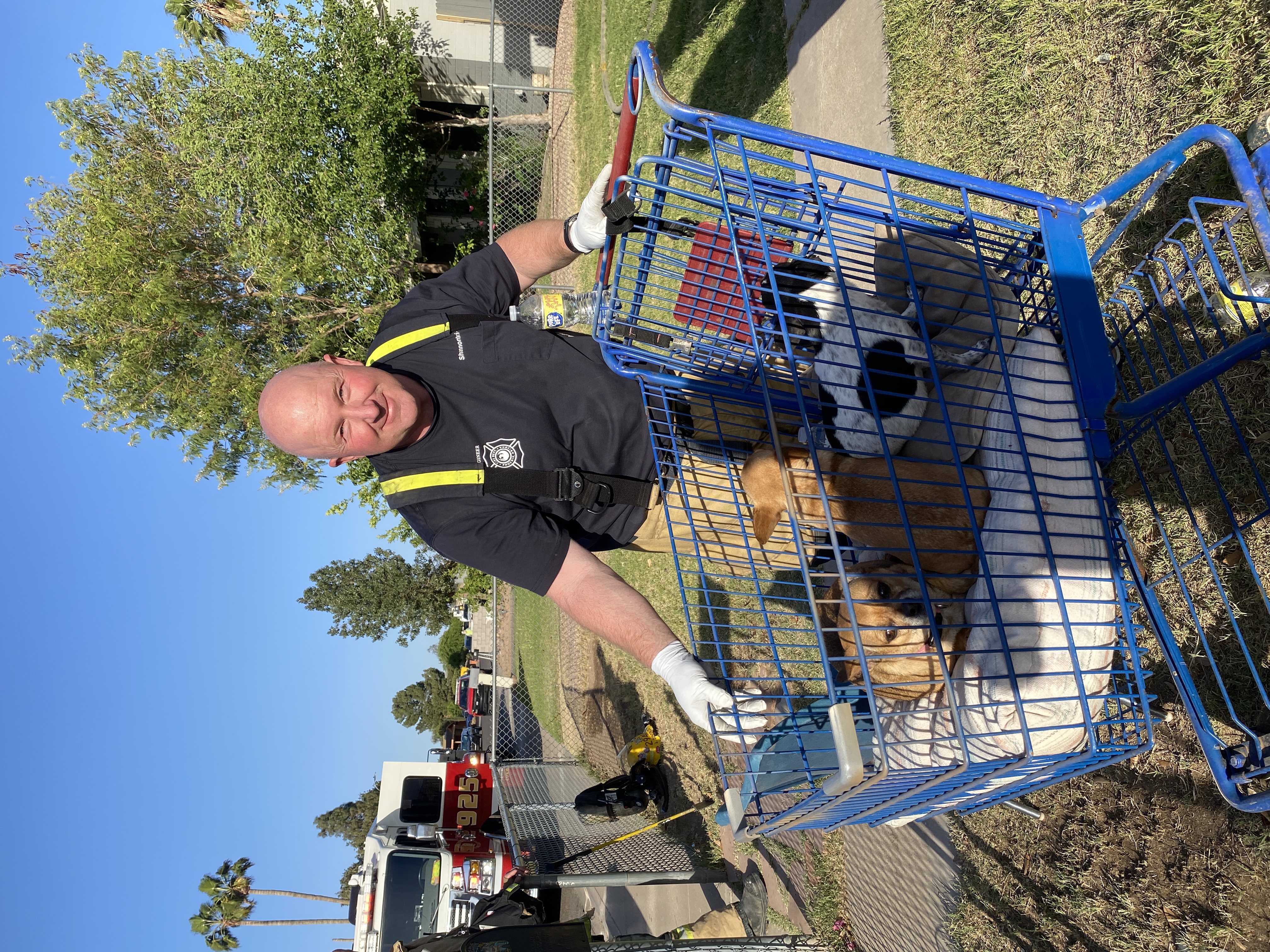 Puppies rescued.jpeg