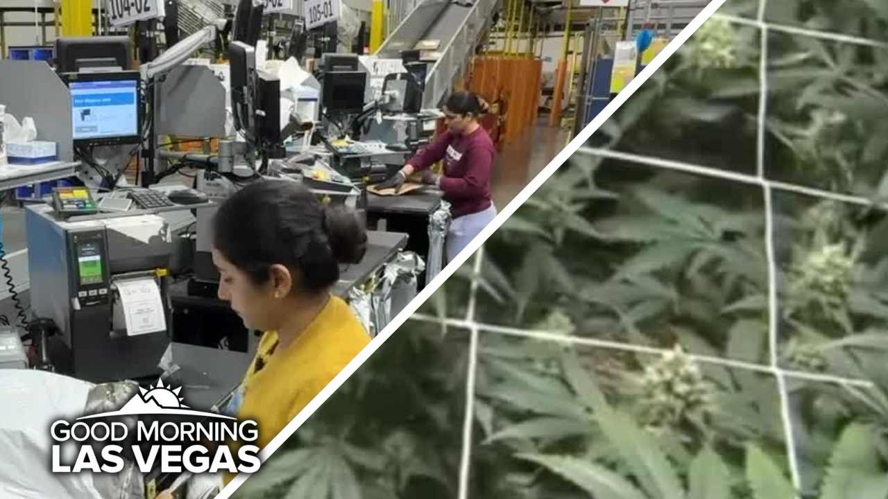 Good Morning, Las Vegas: Rush to fill holiday orders, understanding marijuana reclassification