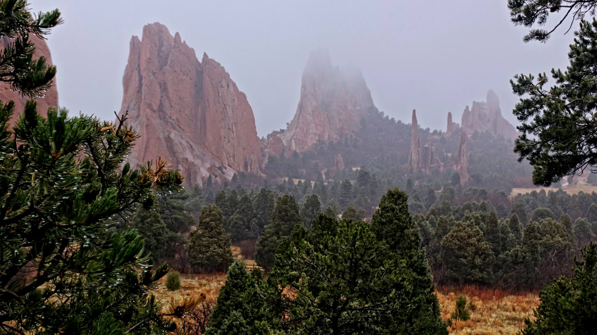 Larry Marr Garden of the Gods Fog