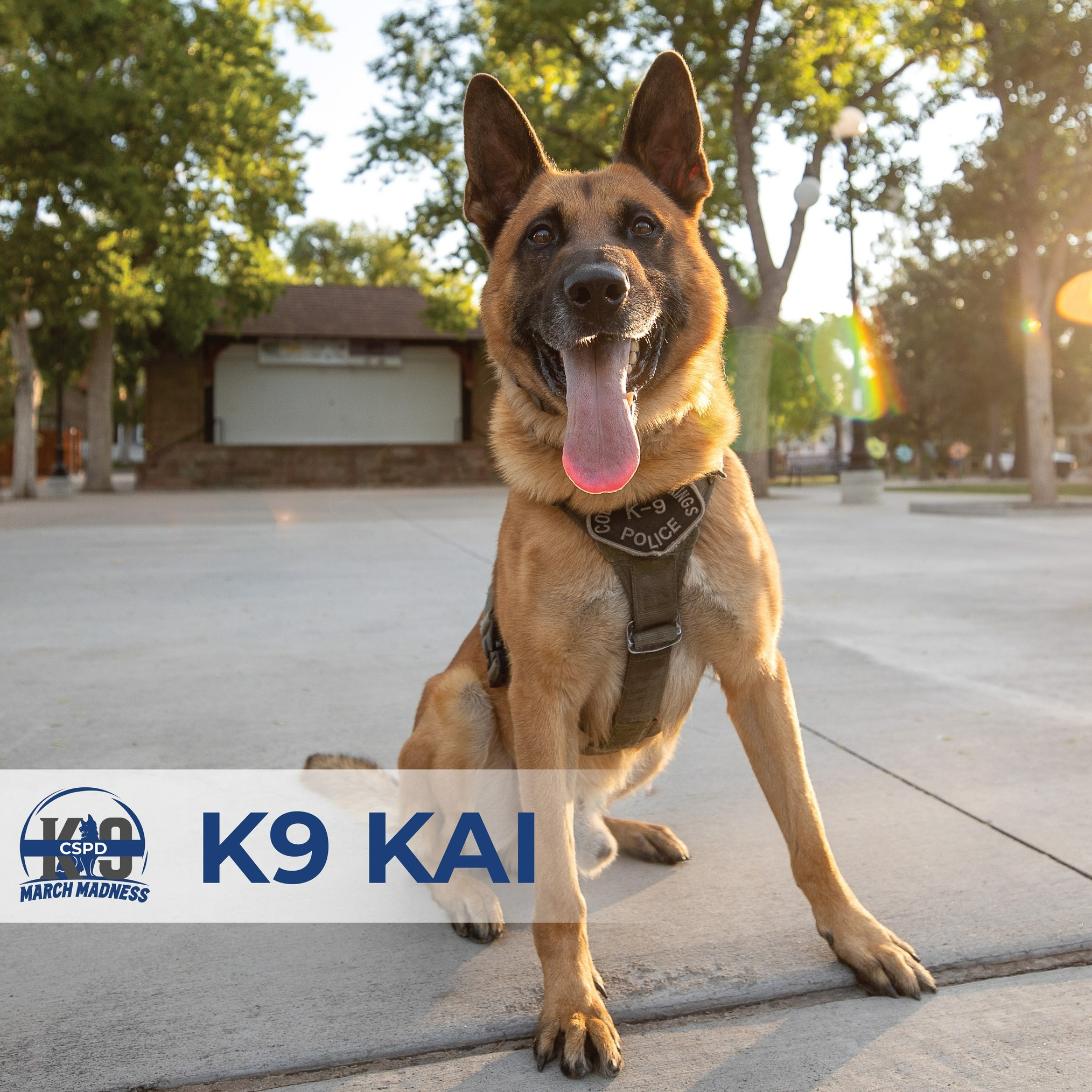 K9 Kai