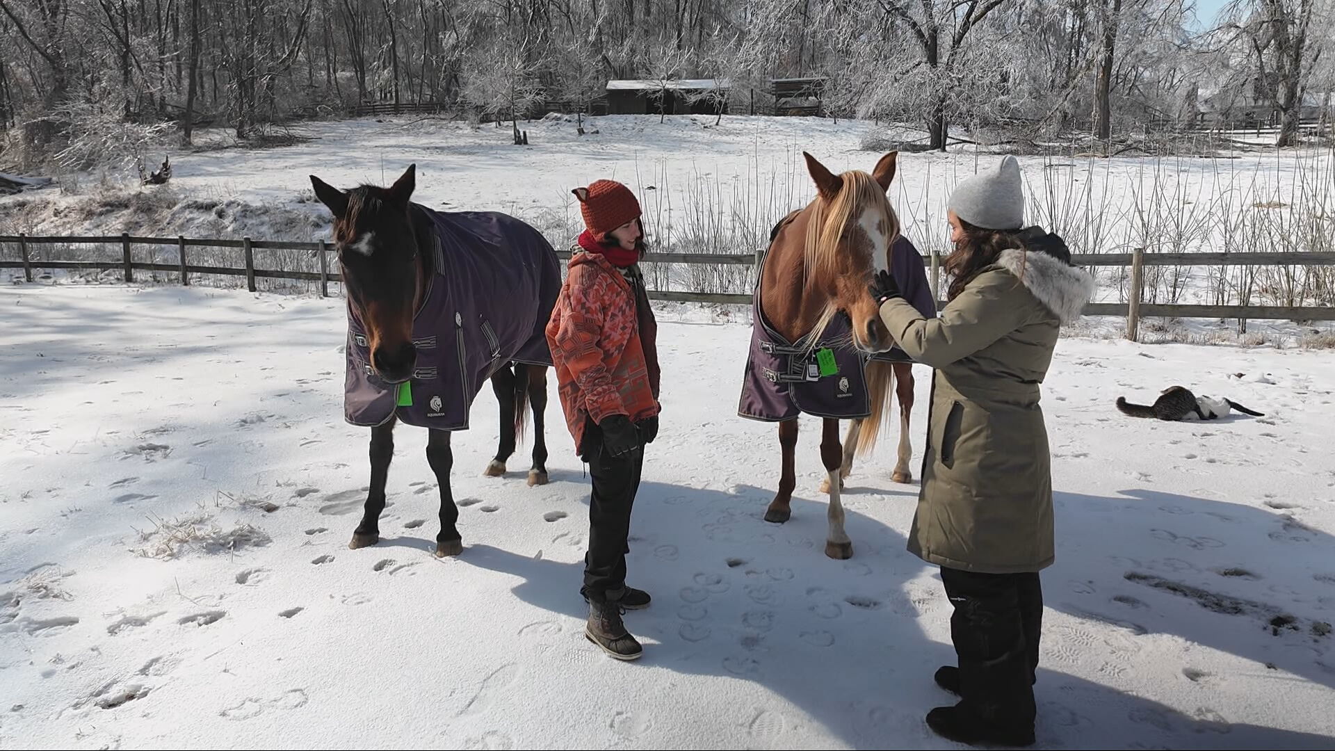 Small farm struggling in cold.jpeg