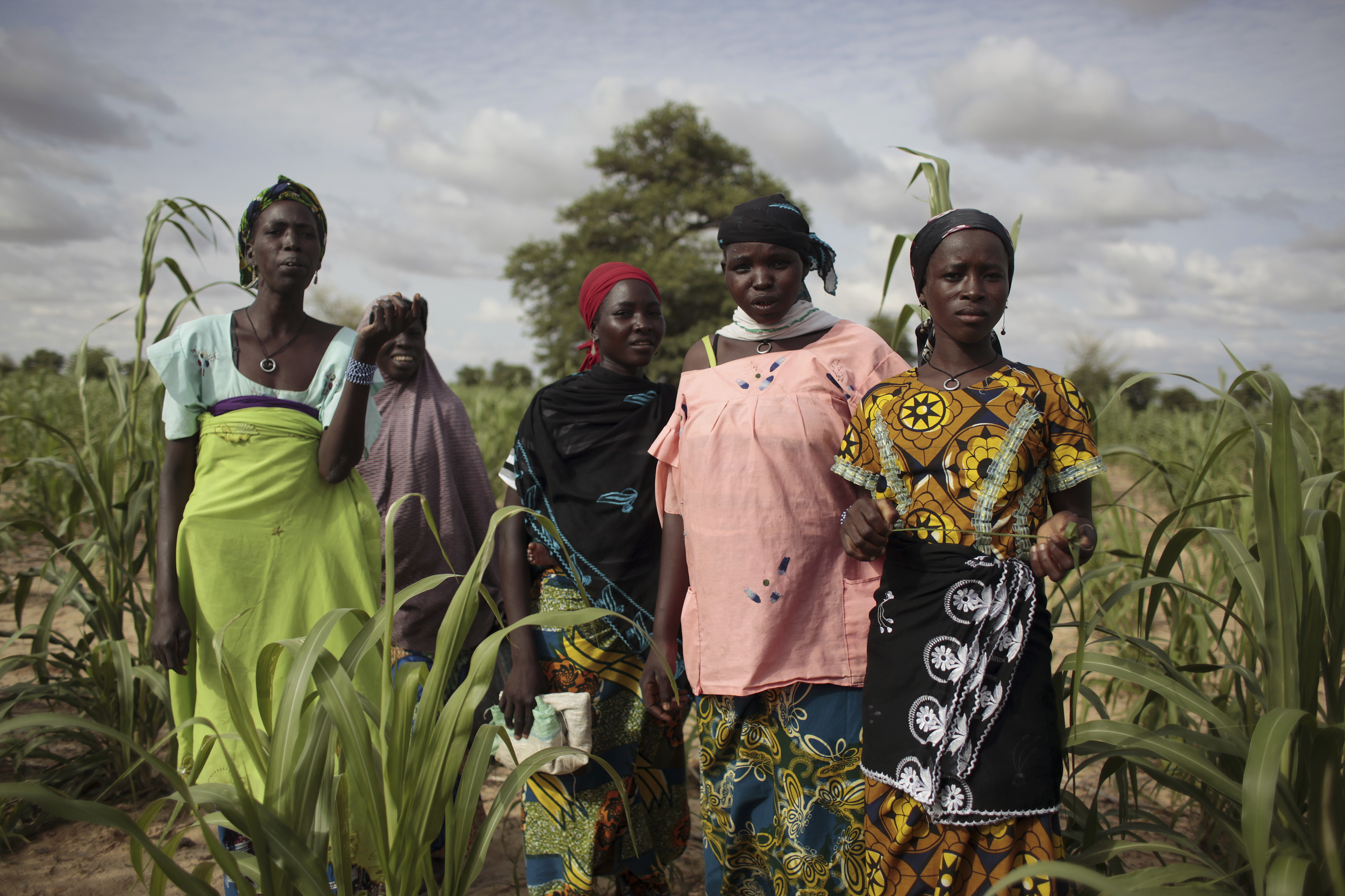 West Africa Food Crisis