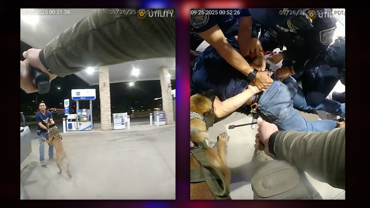 NLVPD Shooting Arrest