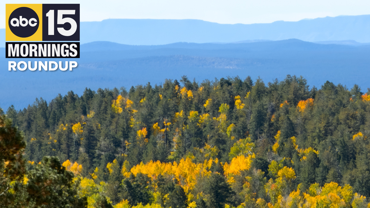 AM Roundup added 10-19-25