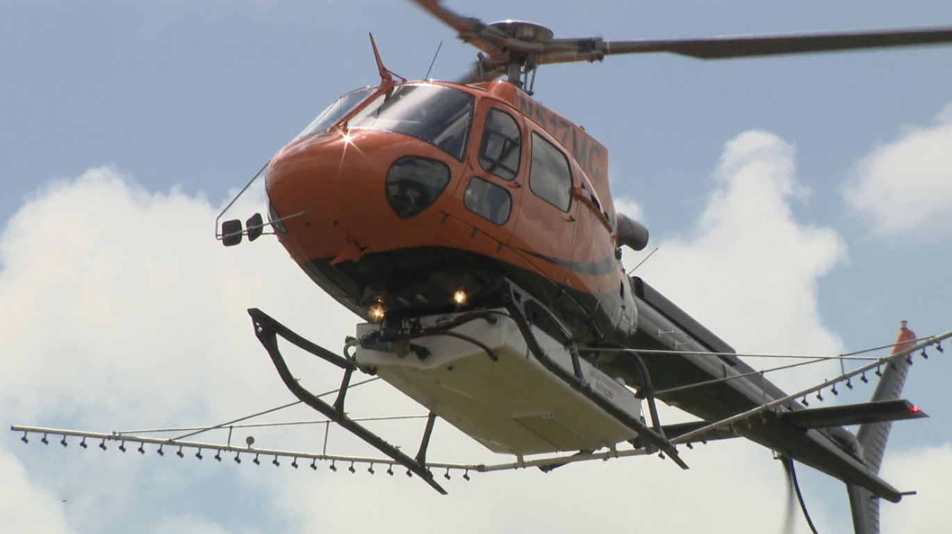 MOSQUITO HELICOPTER IN THE AIR
