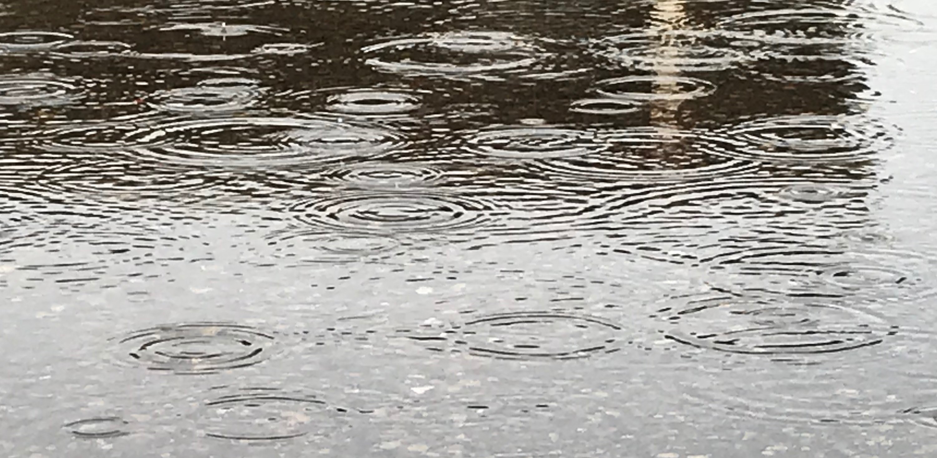 Generic rain puddle