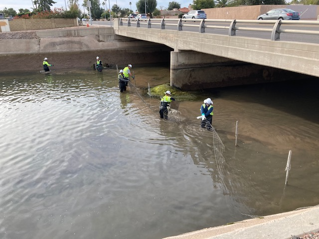 SRP clearing fish from Valley canals