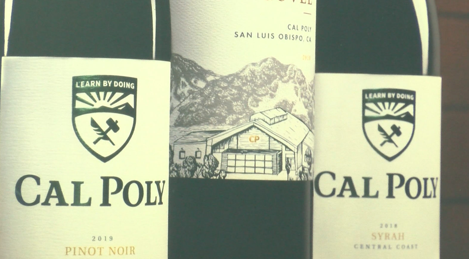 Wine made by Cal Poly Students 
