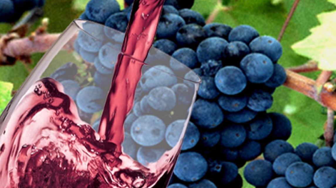 wine.JPG