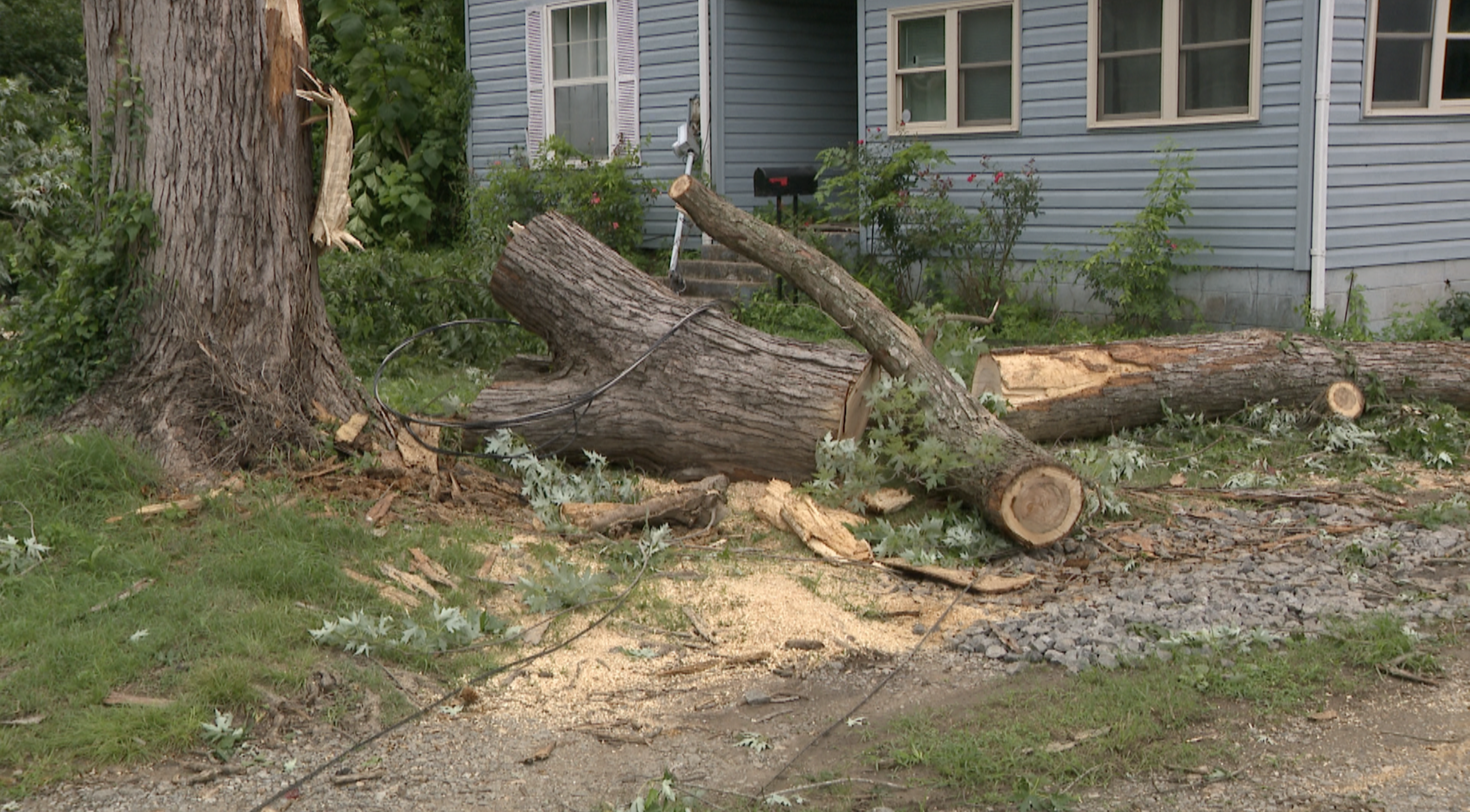 TAHLEQUAH STORM DAMAGE tree on home 