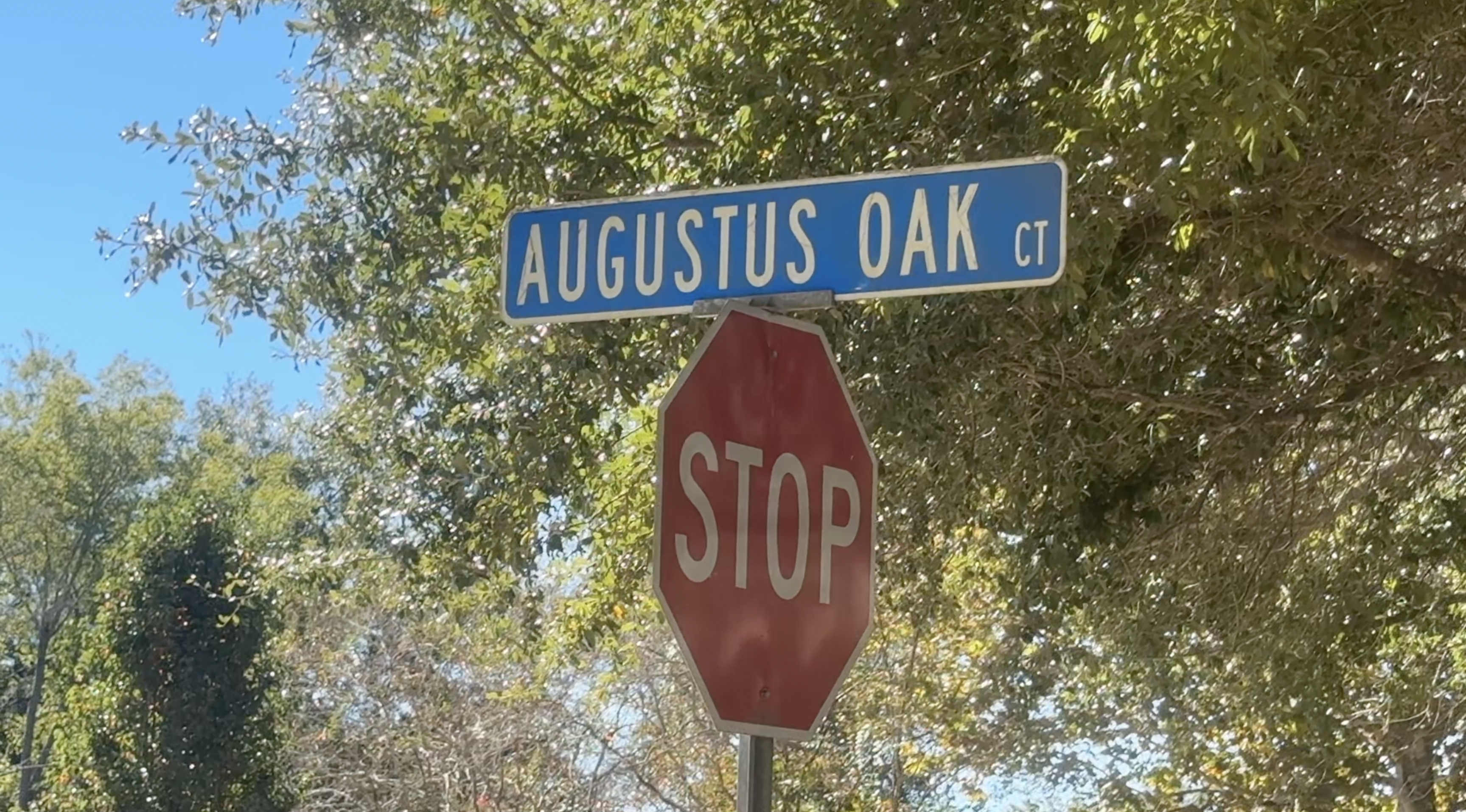 AUGUSTUS 