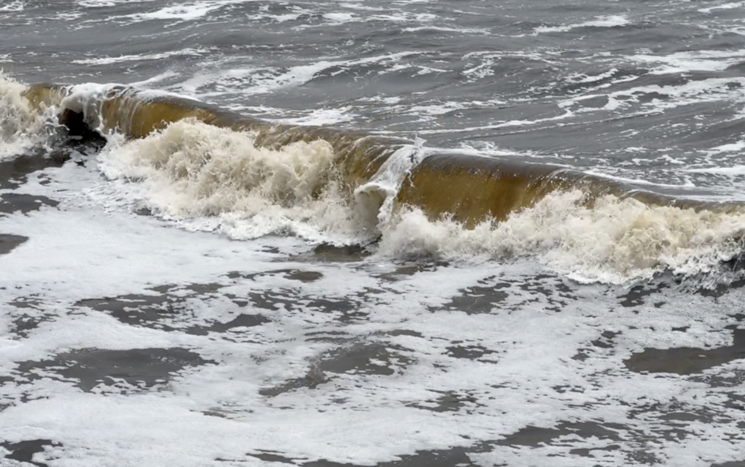 San Diego's brown ocean water explained
