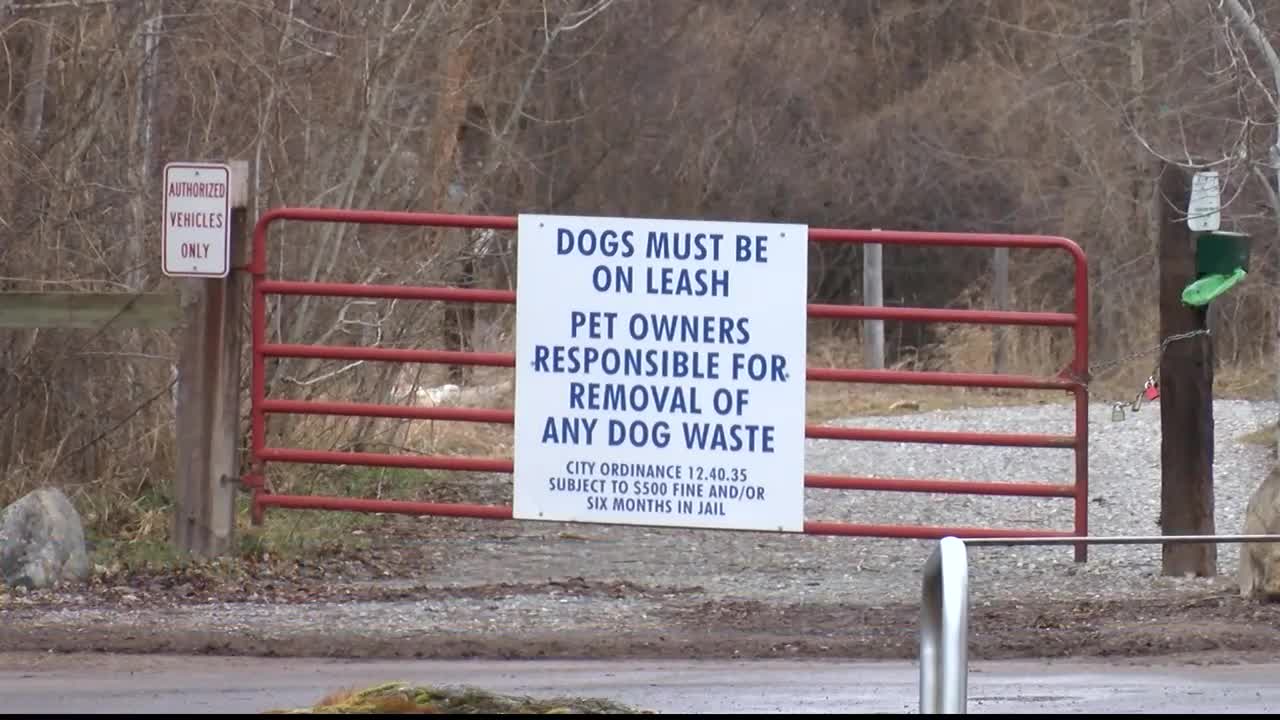 mountain lion sightings.jpg