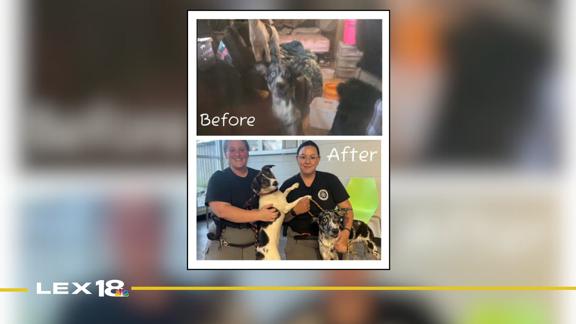 Featured Image Custom Edit (27).png