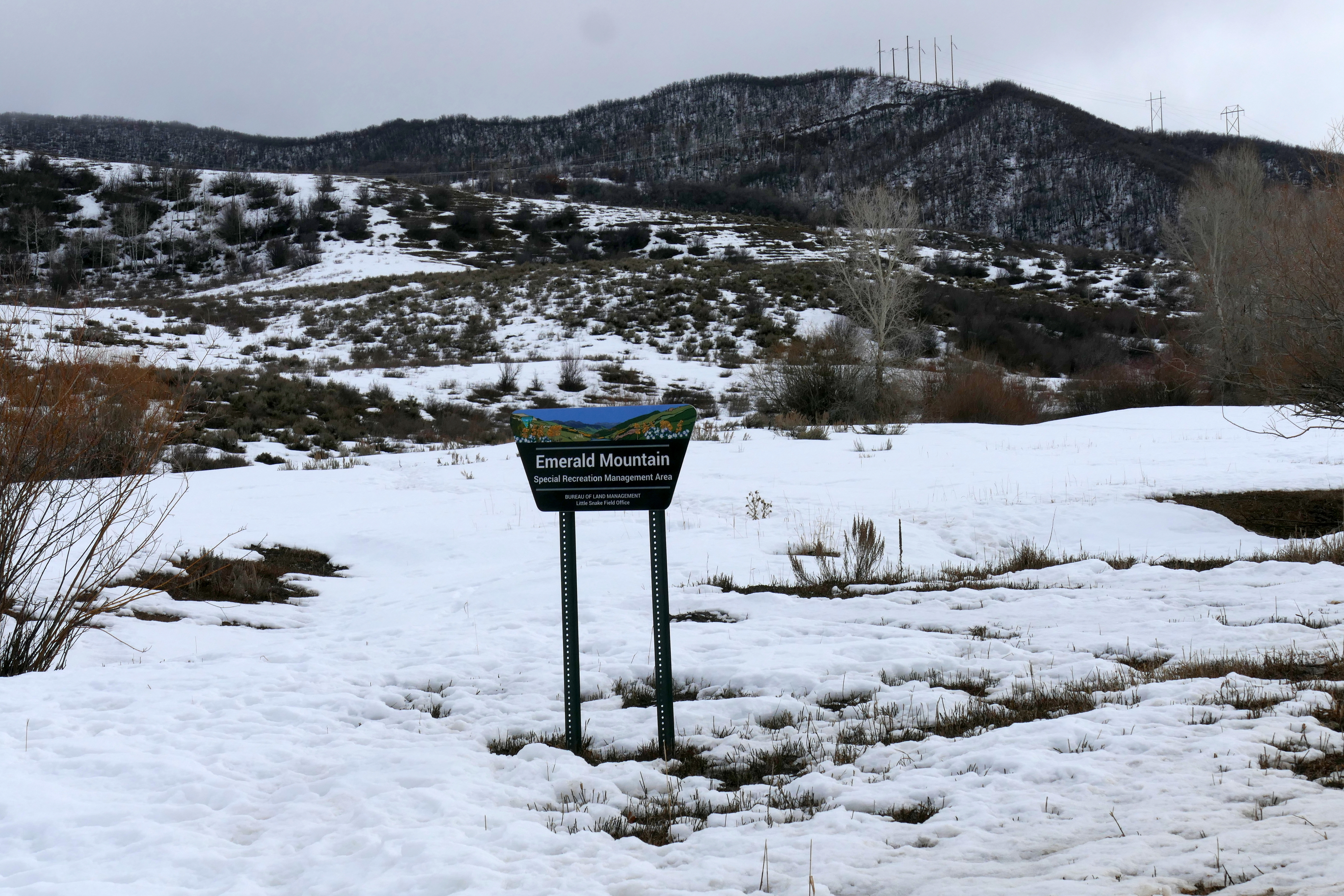 four killed in plane crash near steamboat springs overnight NTSB investigating.JPG