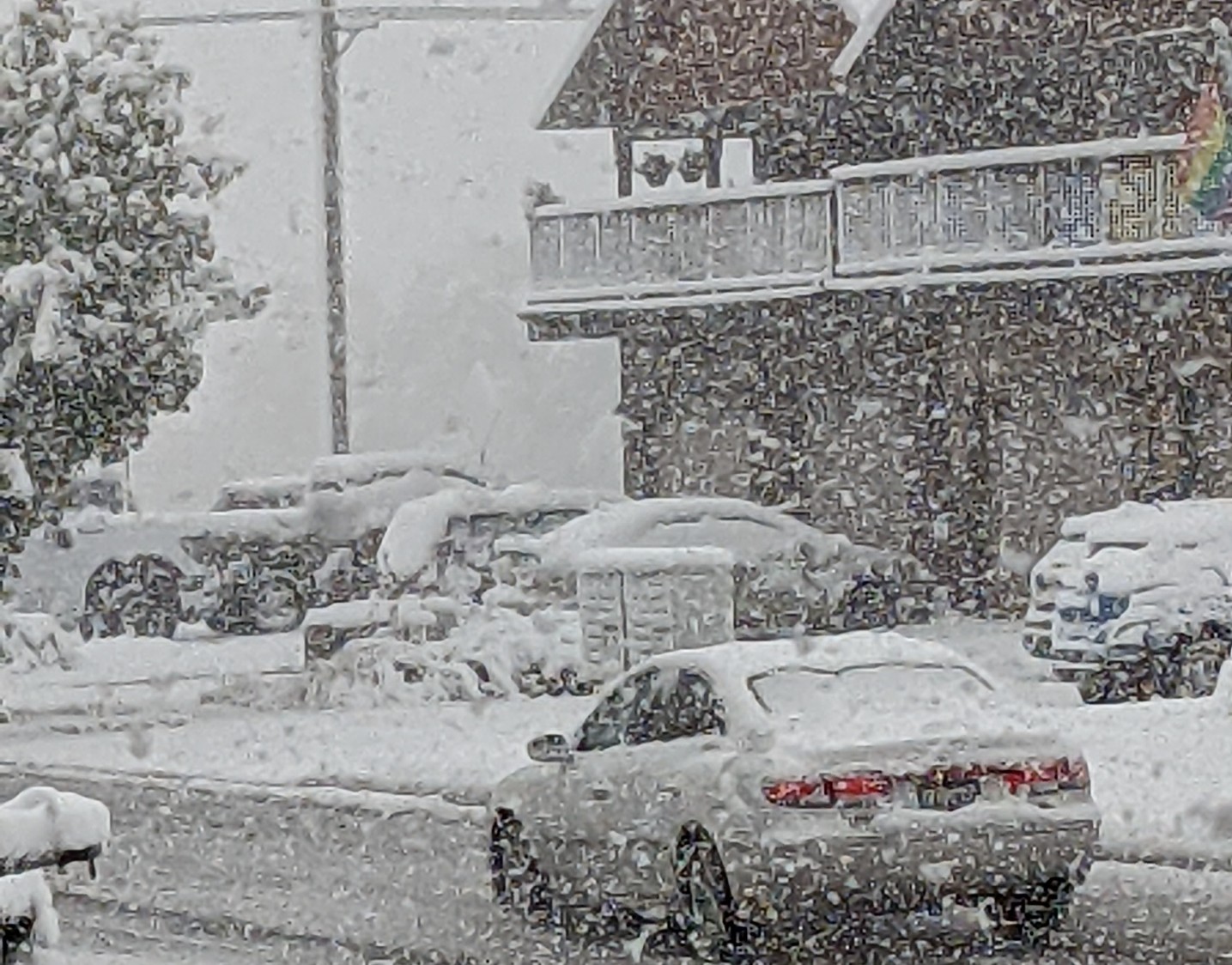 Heavy Snow Falling Branches Knock Out Power In Parts Of Bozeman