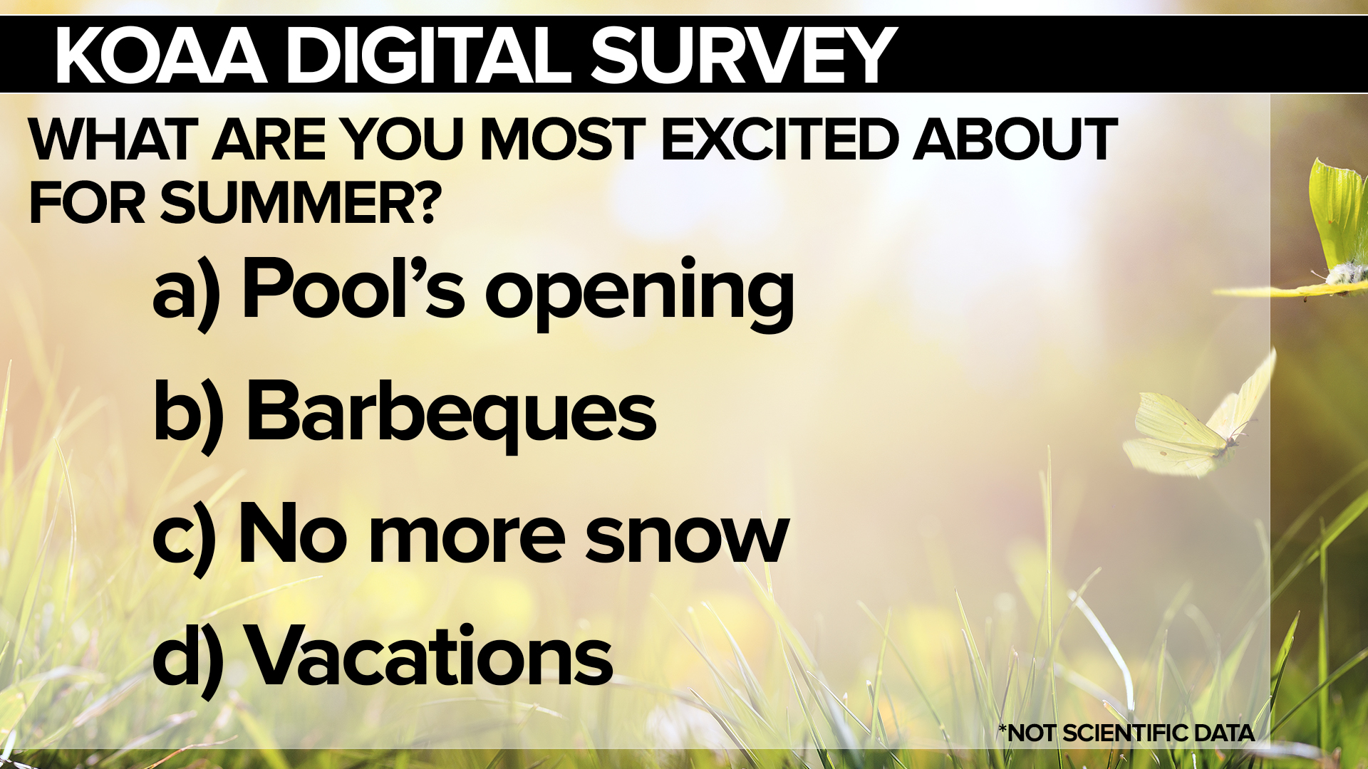 SURVEY FRI Summer.jpg