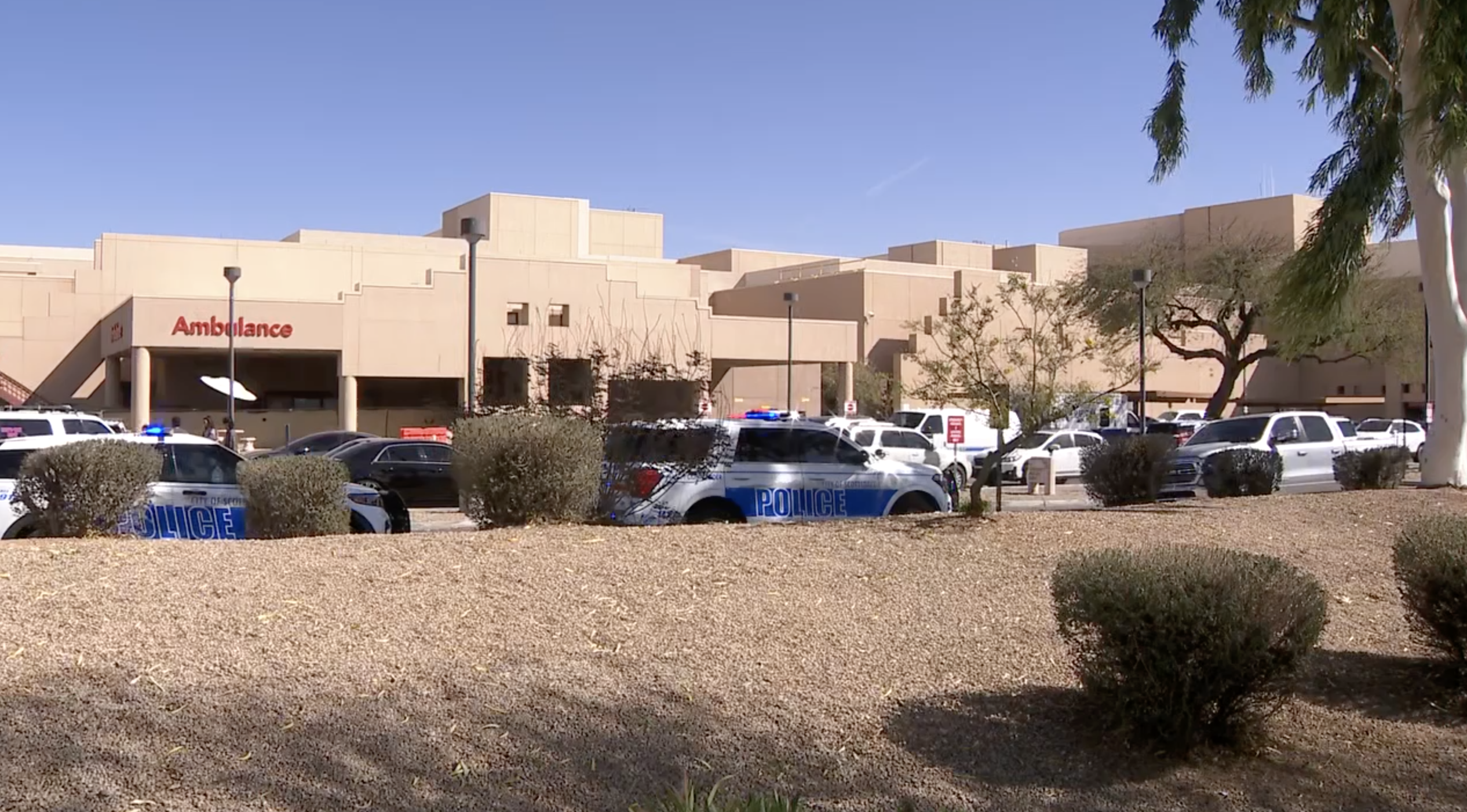 Screenshot 2025-03-02 at 2.51.31 PM.png