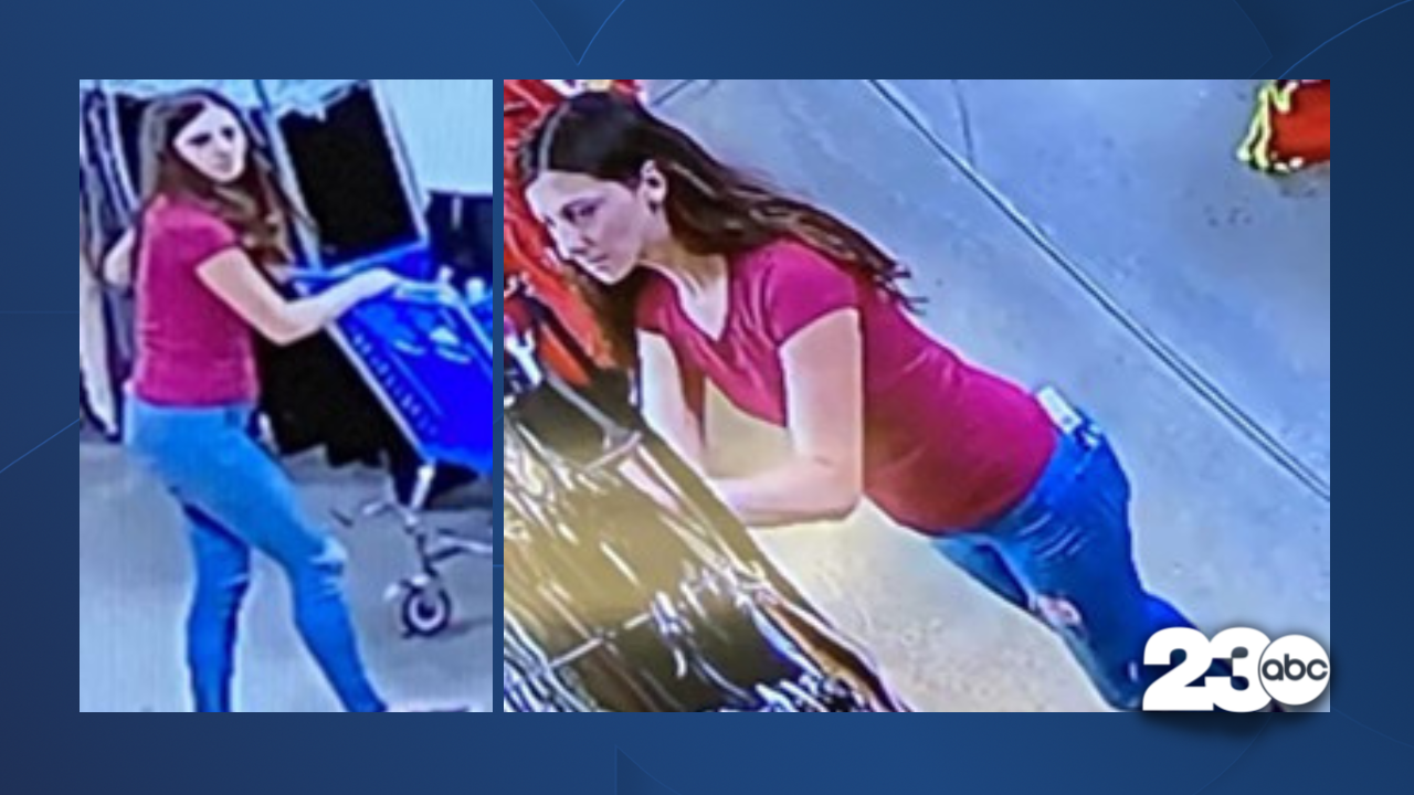 Goodwill Store Thief