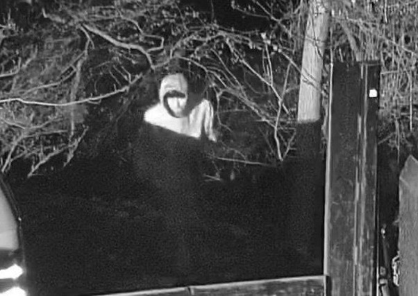 Berrien County Thief Suspect