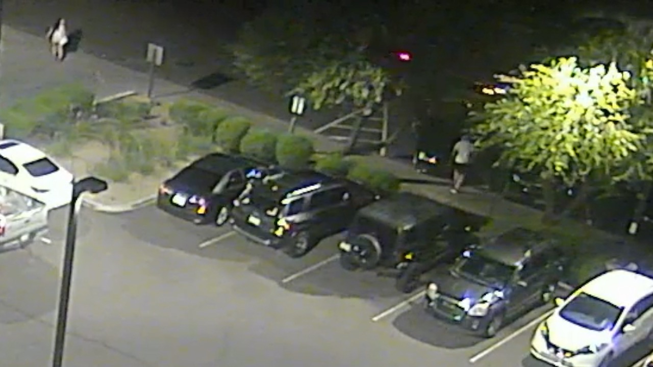 Surveillance pic.jpg
