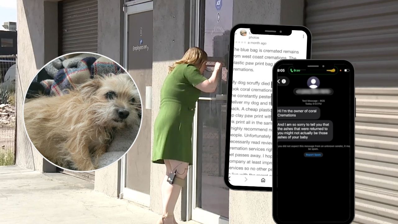 Coral Cremations folo T (1).jpg