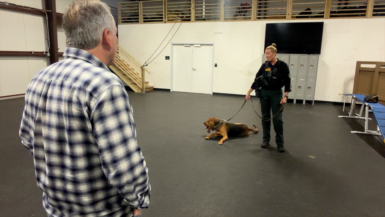 Dog training
