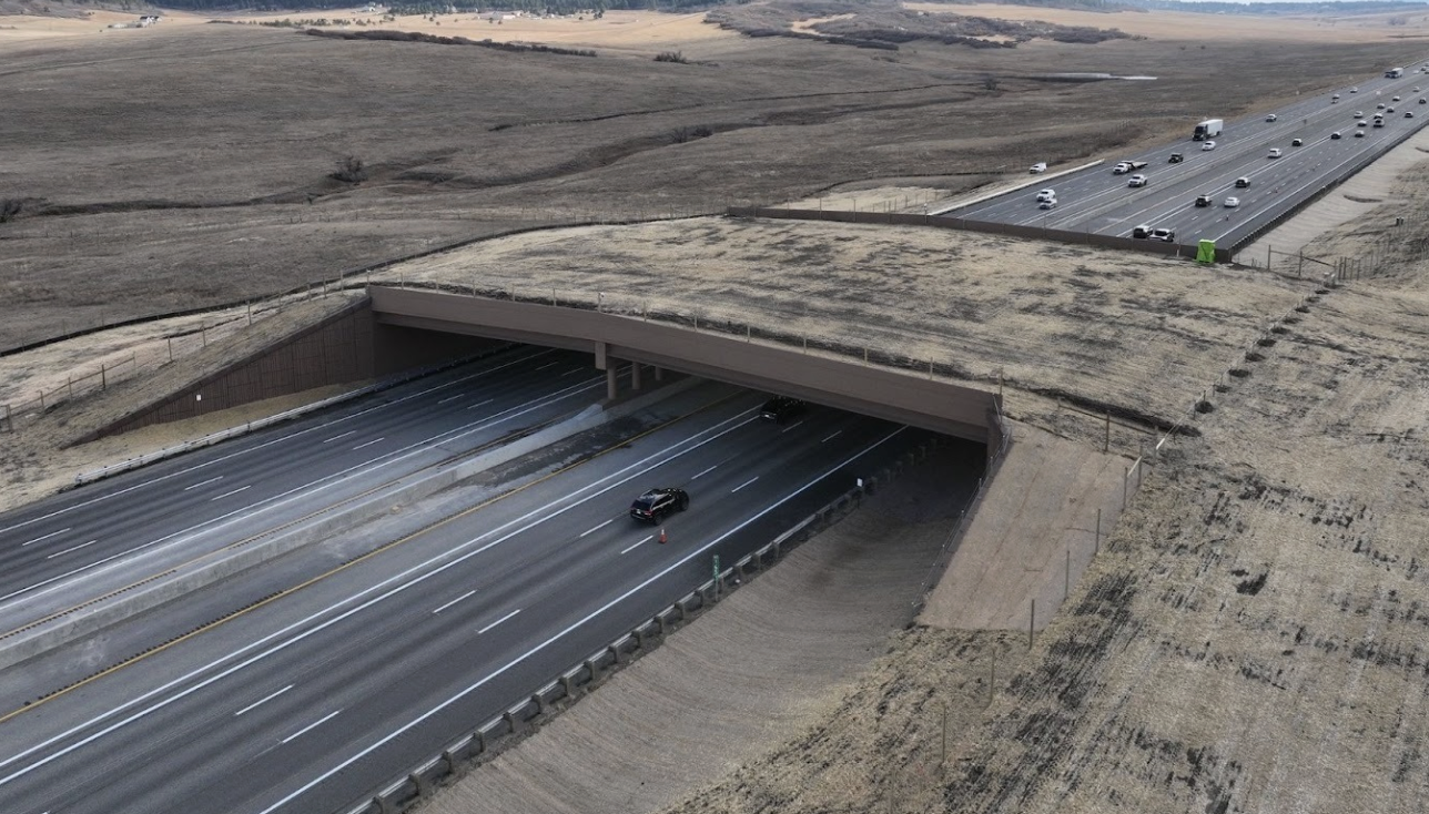 Screenshot 2025-12-18 at 1.50.52 PM.png