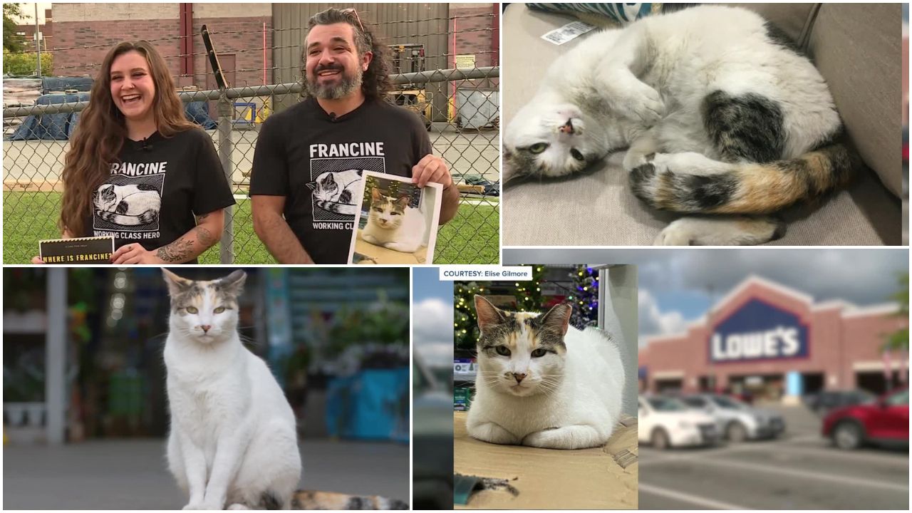 NEW YOUTUBE COVERS -- NICK 16x9  (22).jpg