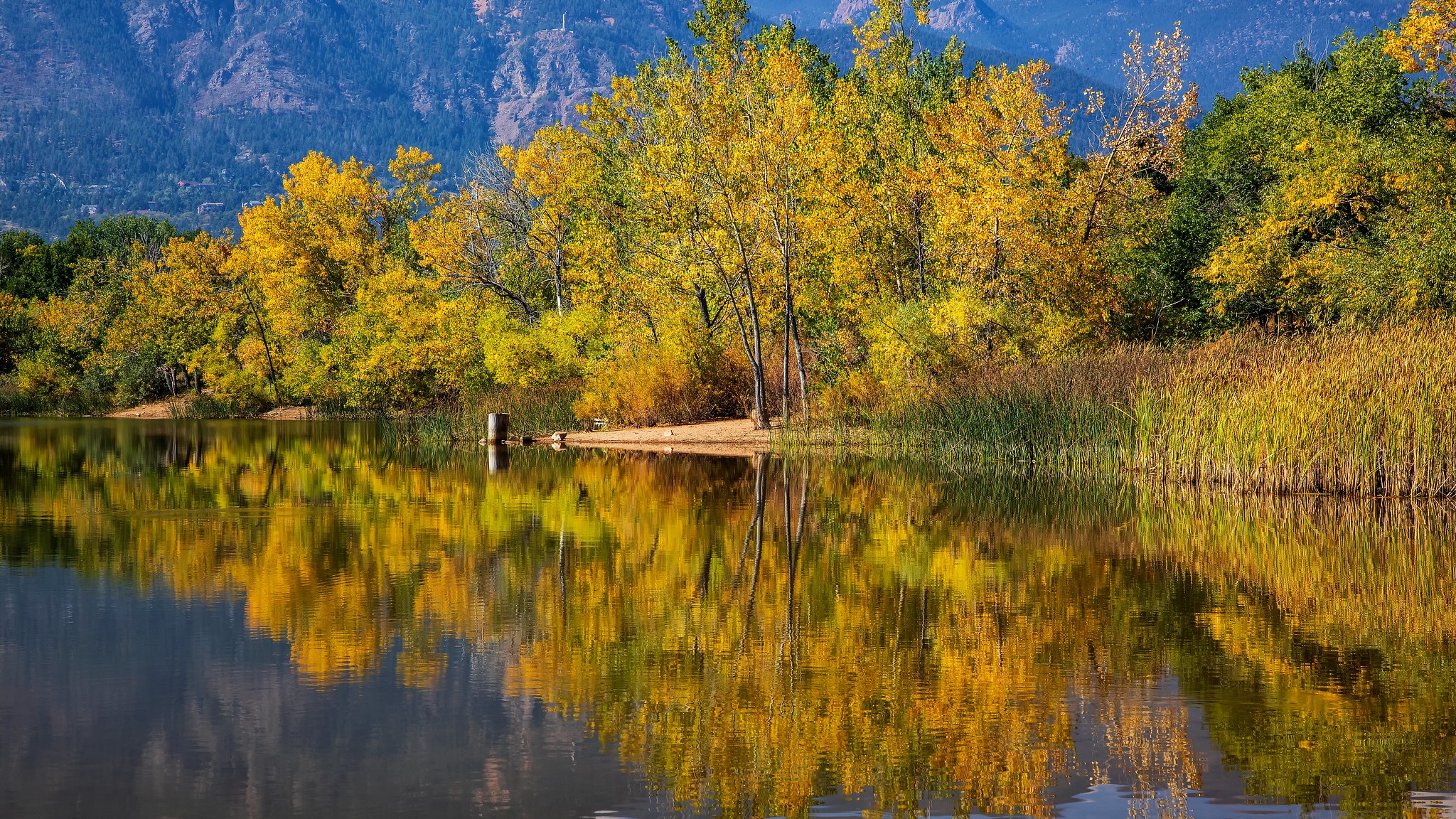 Bruce Hausknecht Quail Lake