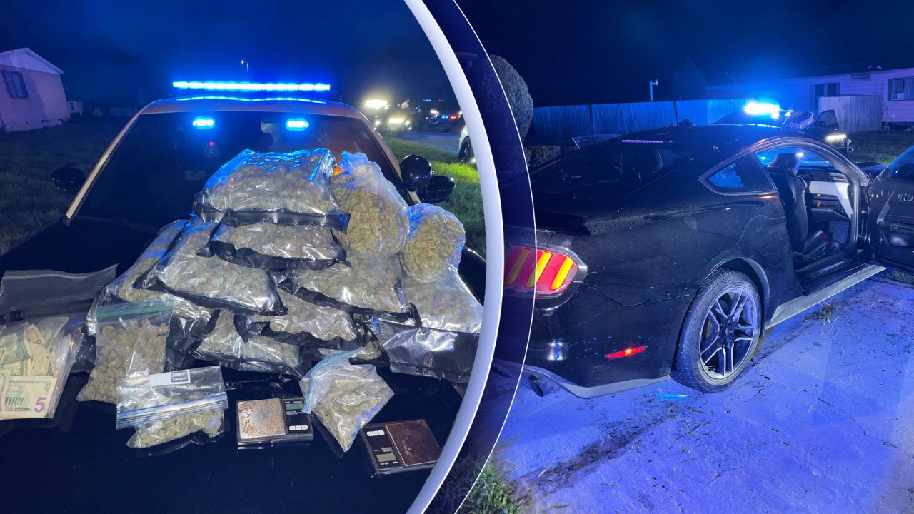 Driver arrested after high-speed chase on I-75 ends in crash, FHP finds large amount of marijuana