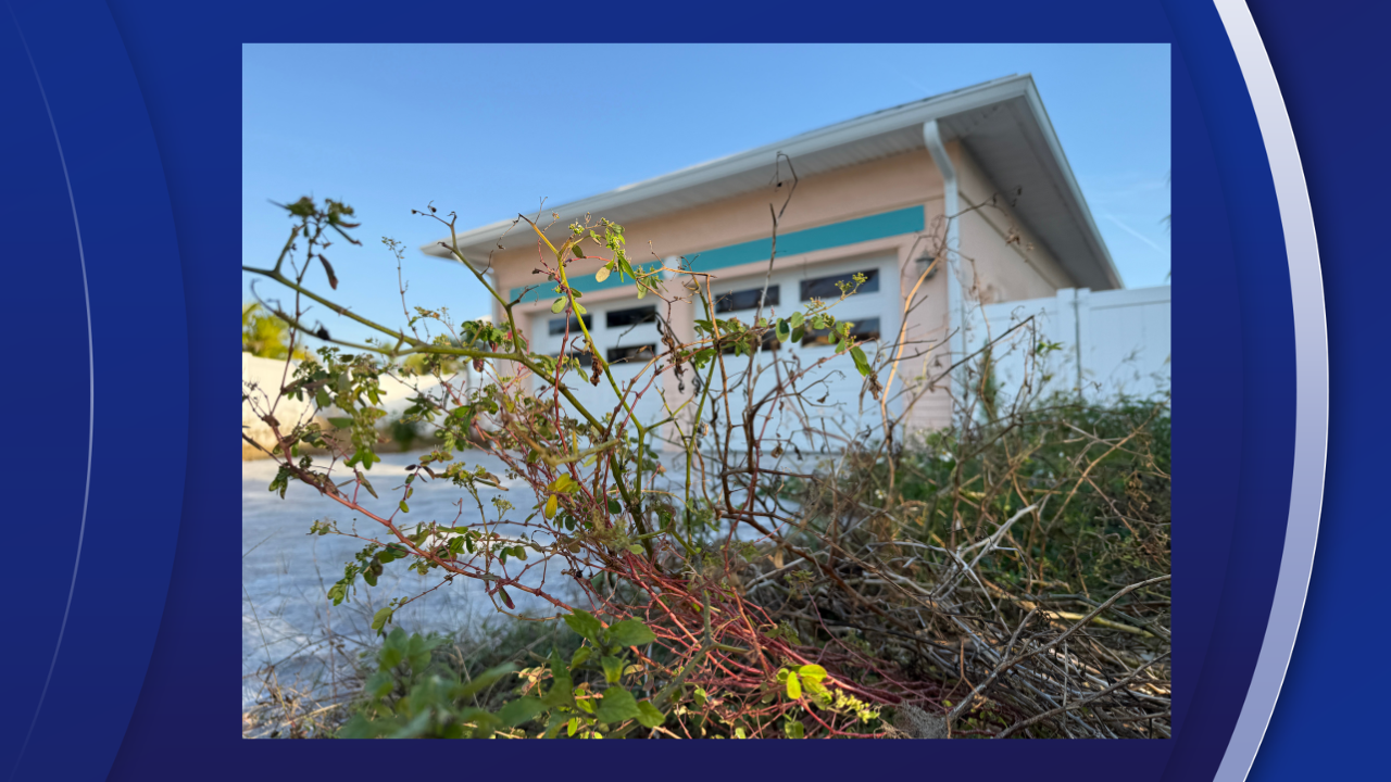 DO NOT DELETE - Blue Background (1).png