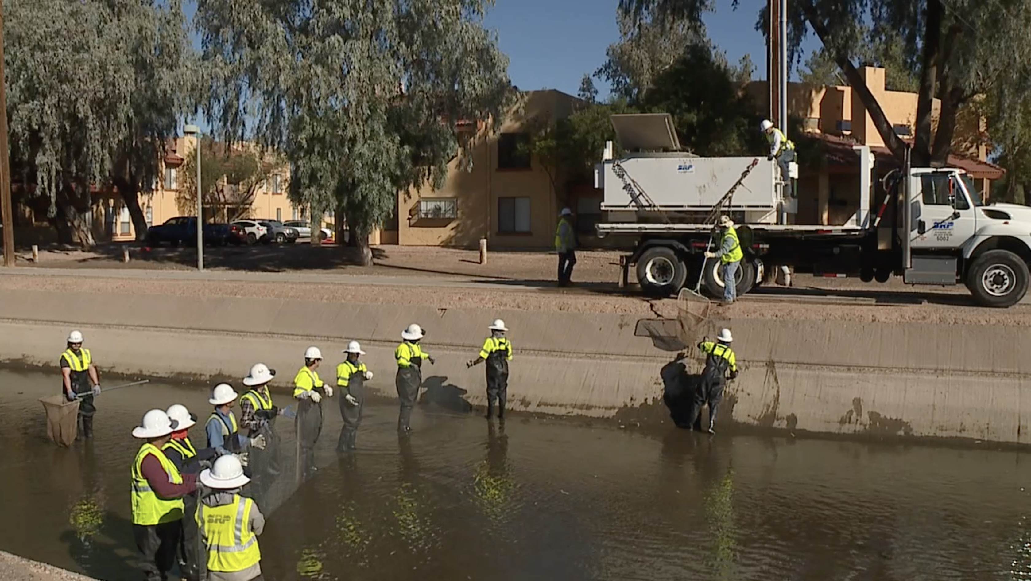 SRP canal clean up 