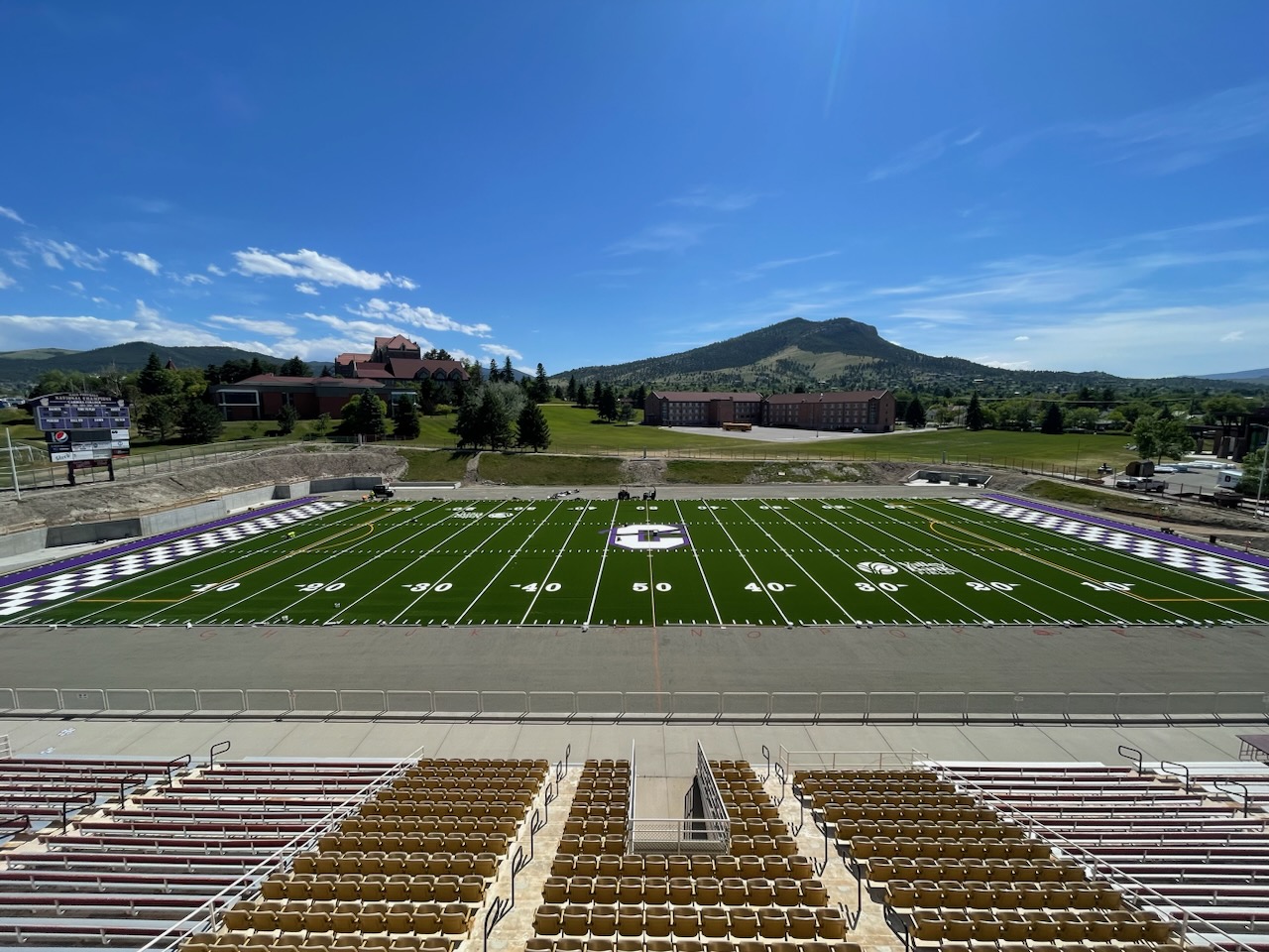 Nelson Stadium turf