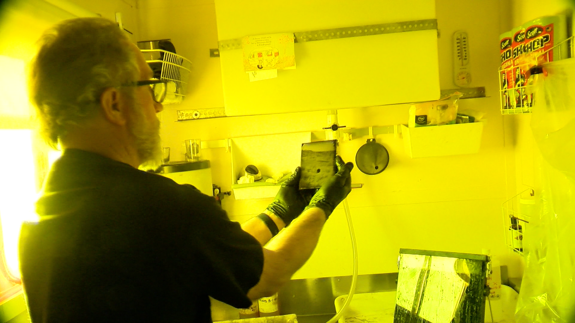 Wet Collidion Photography